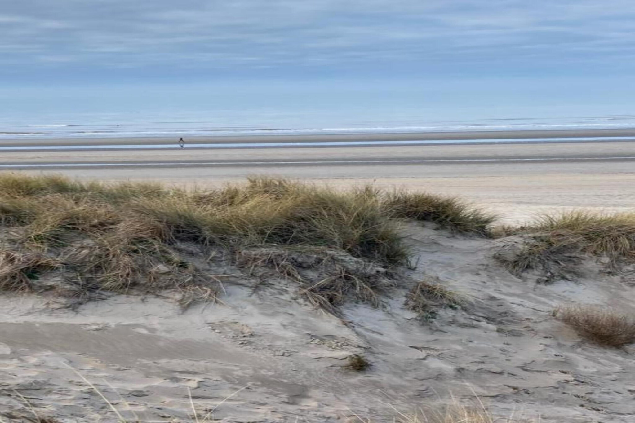 Delphine A - 101-Gebieden zomer 20km