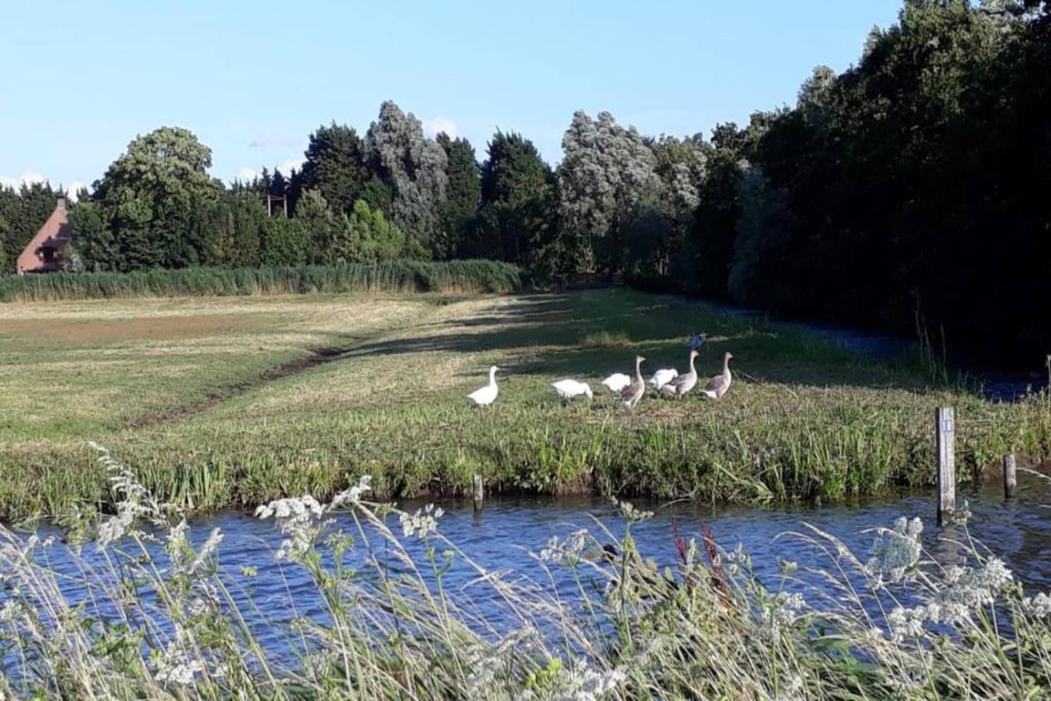 Vlugtenburg 16-Gebieden zomer 20km