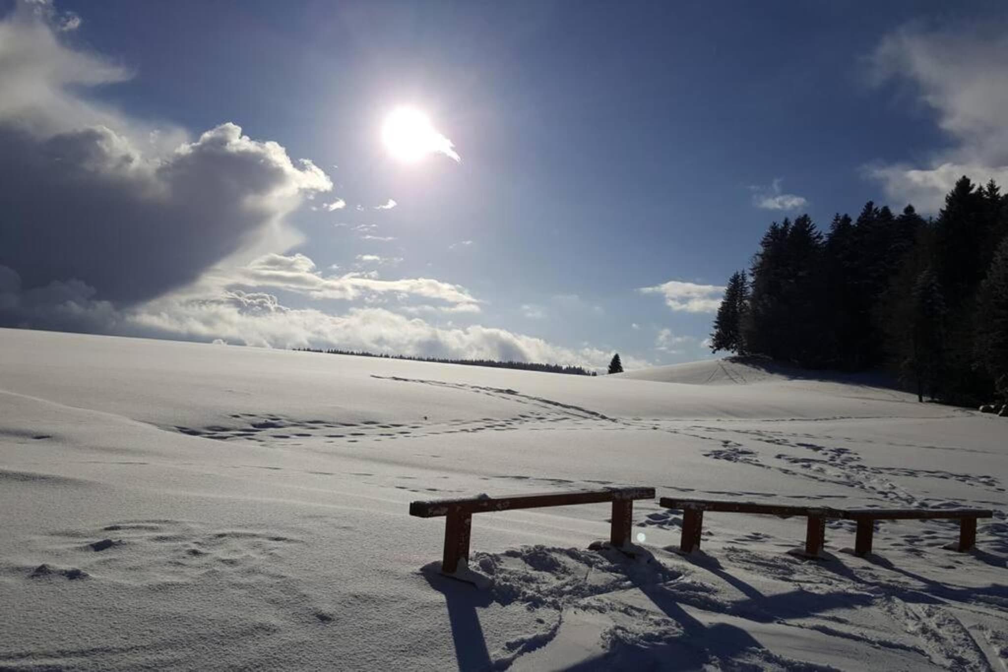 Bernau-Gebied winter 20km