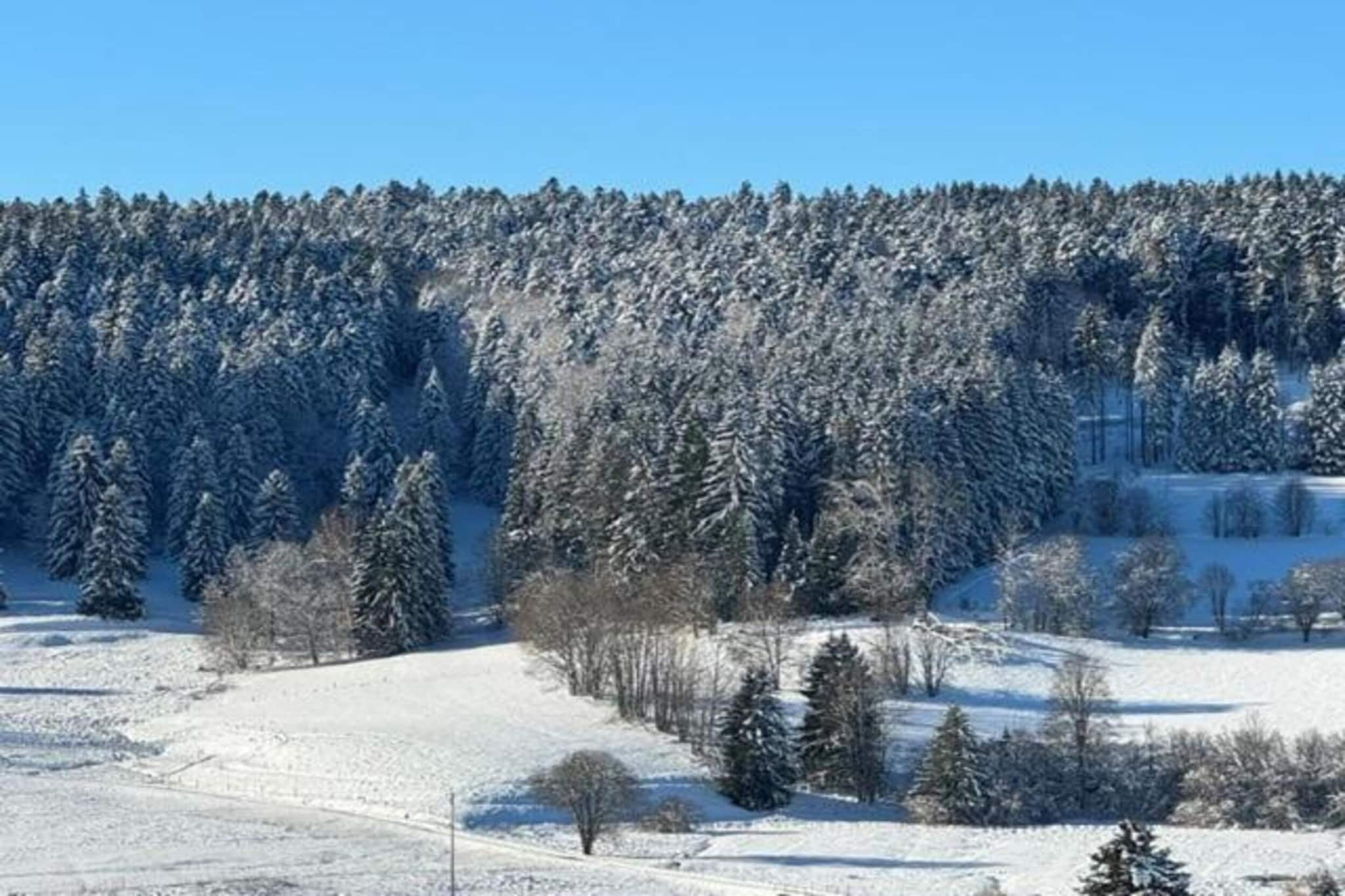 Bernau-Gebied winter 20km