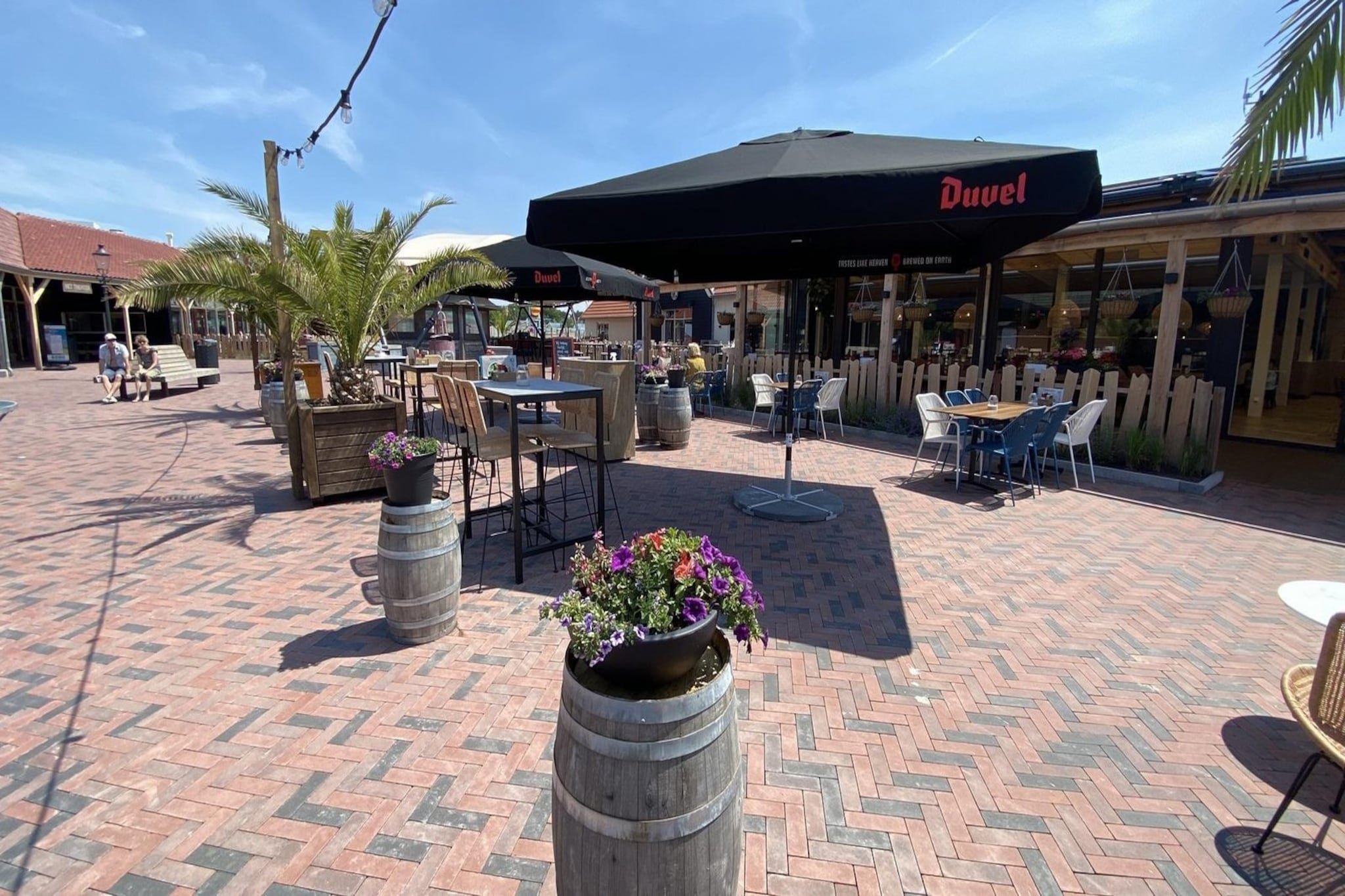 VZ804 Vakantiechalet Arend 1833 Renesse-Image-tags.