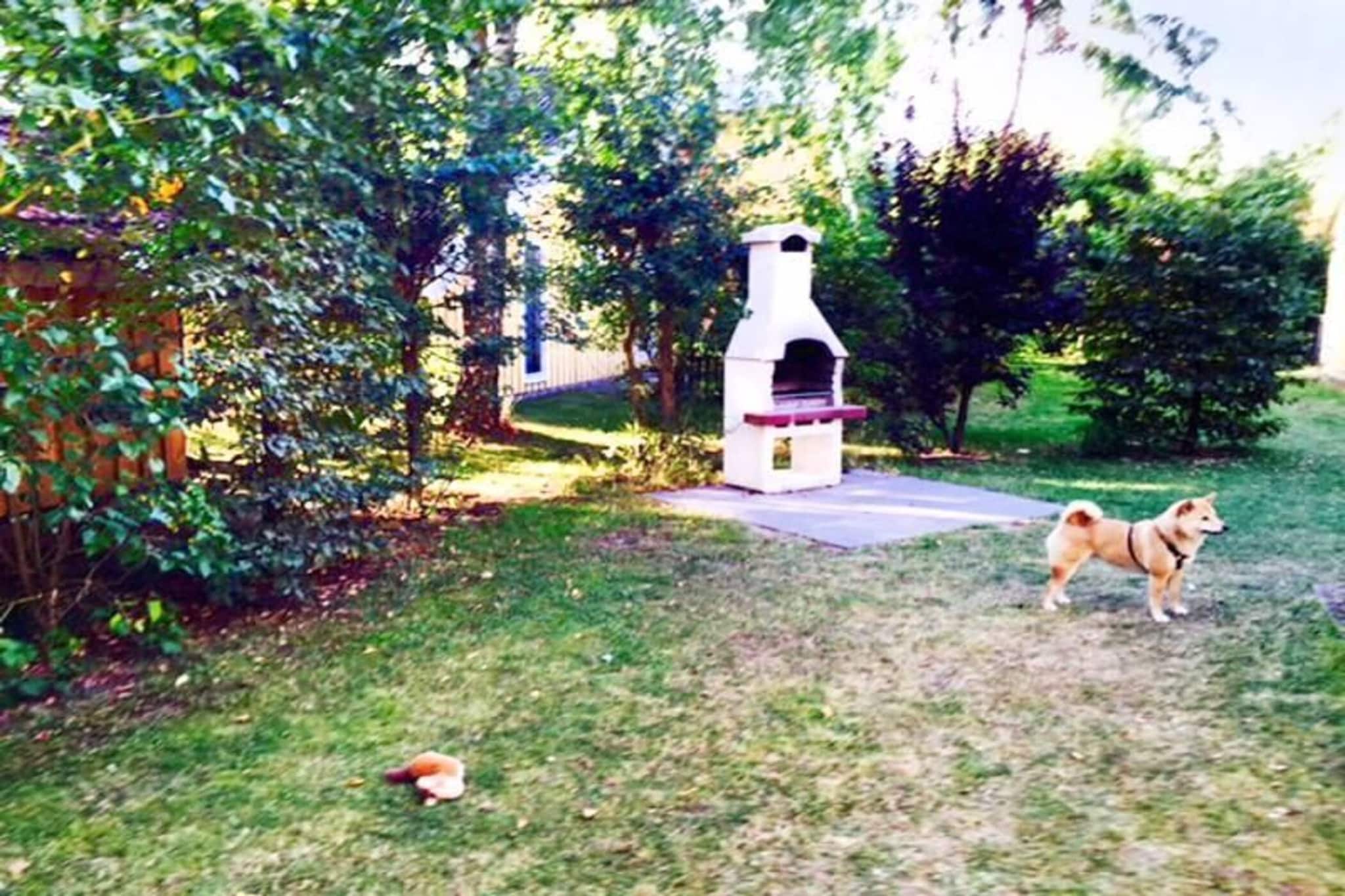 Garden Summer