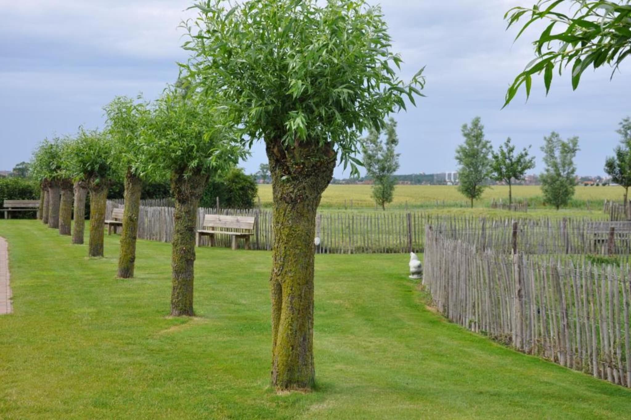 Residentie Poelpanne 4B-Gebiete Sommer 20 km