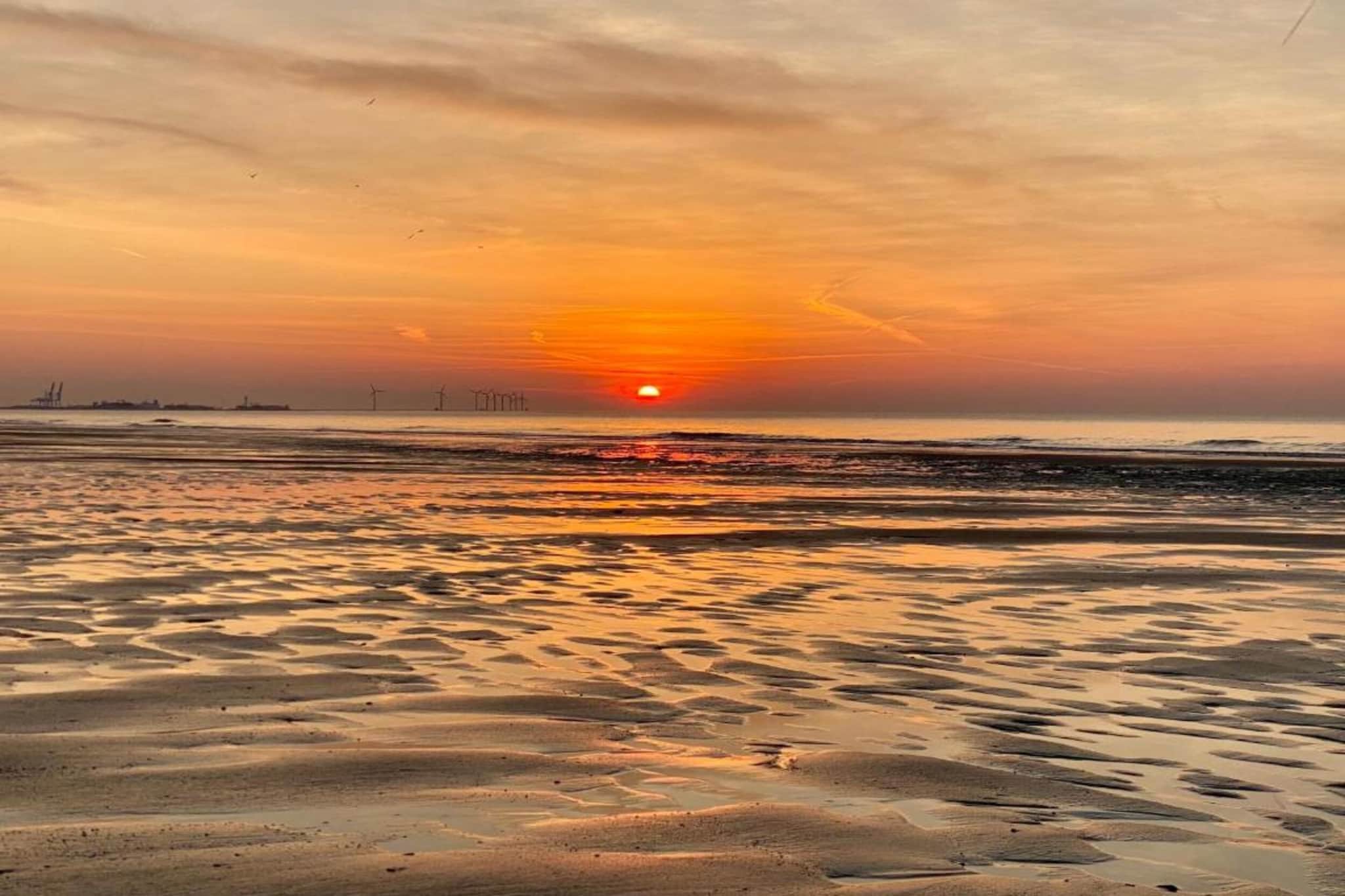 Residentie SUNSET I-1A-Gebieden zomer 1km