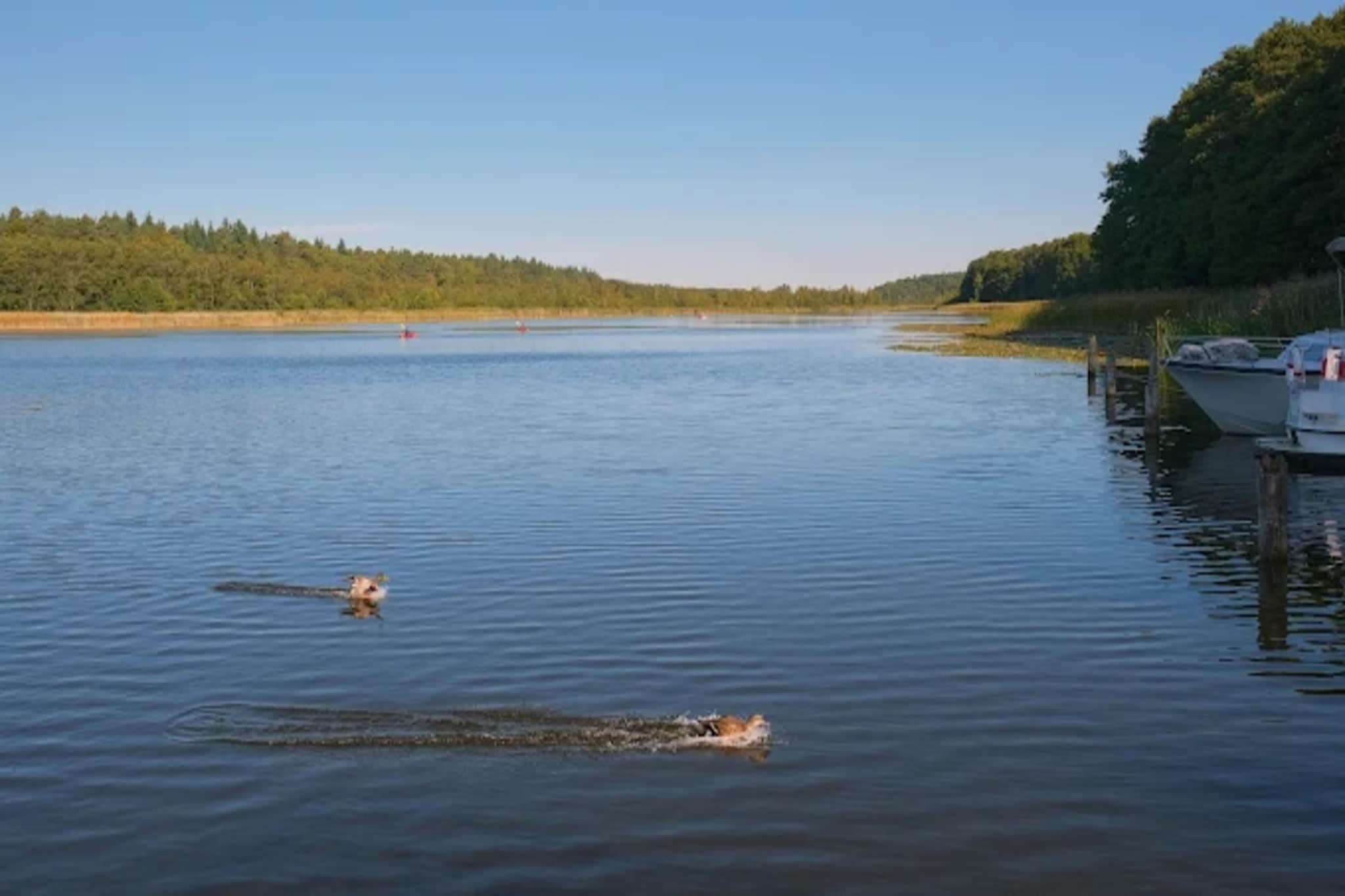 FH Seeschwalbe 221-Gebieden zomer 1km