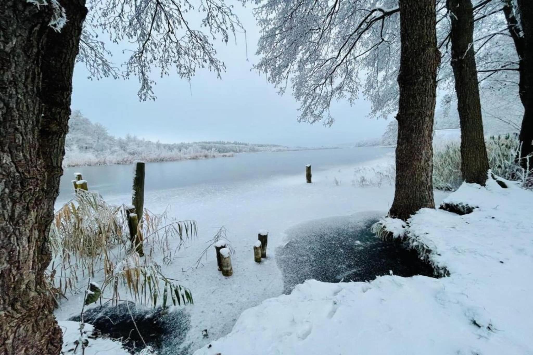 FH Seeschwalbe 225-Gebied winter 5km
