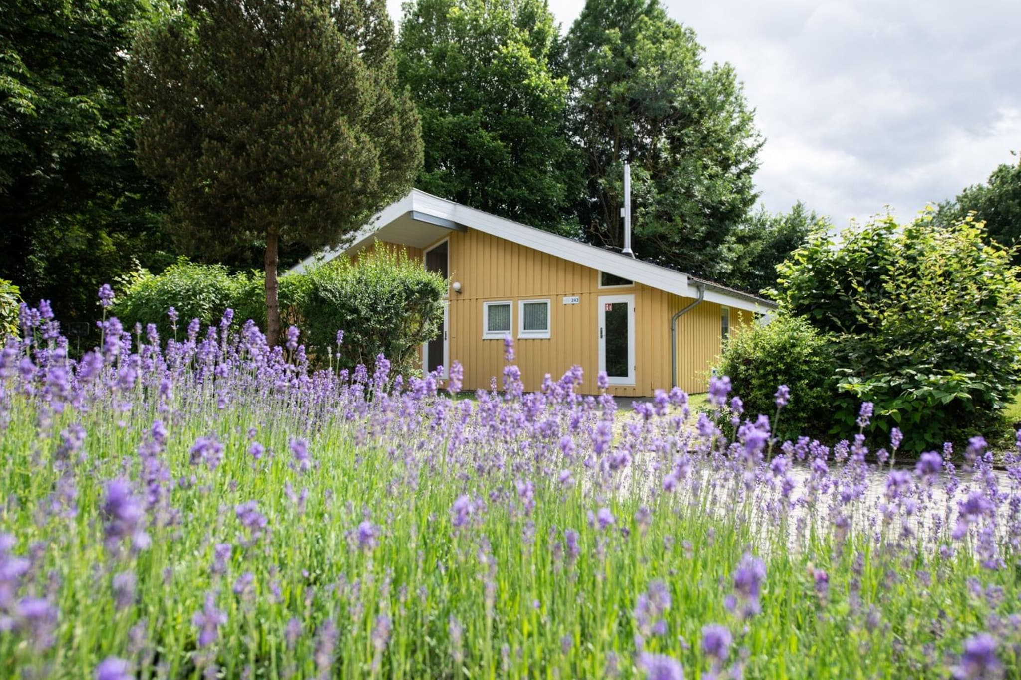 Exterior Summer