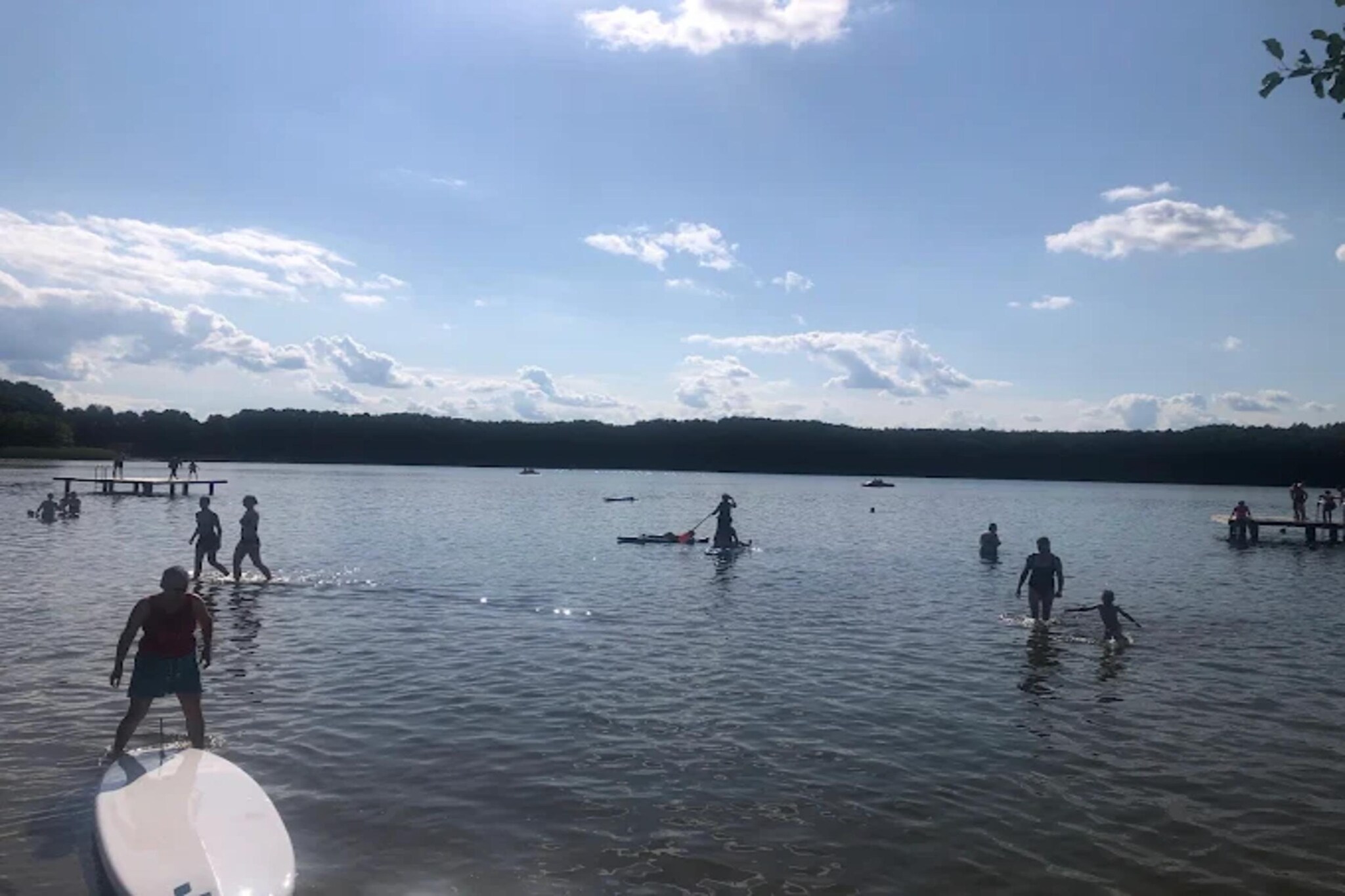 FH Seeschwalbe 32a-Gebieden zomer 1km
