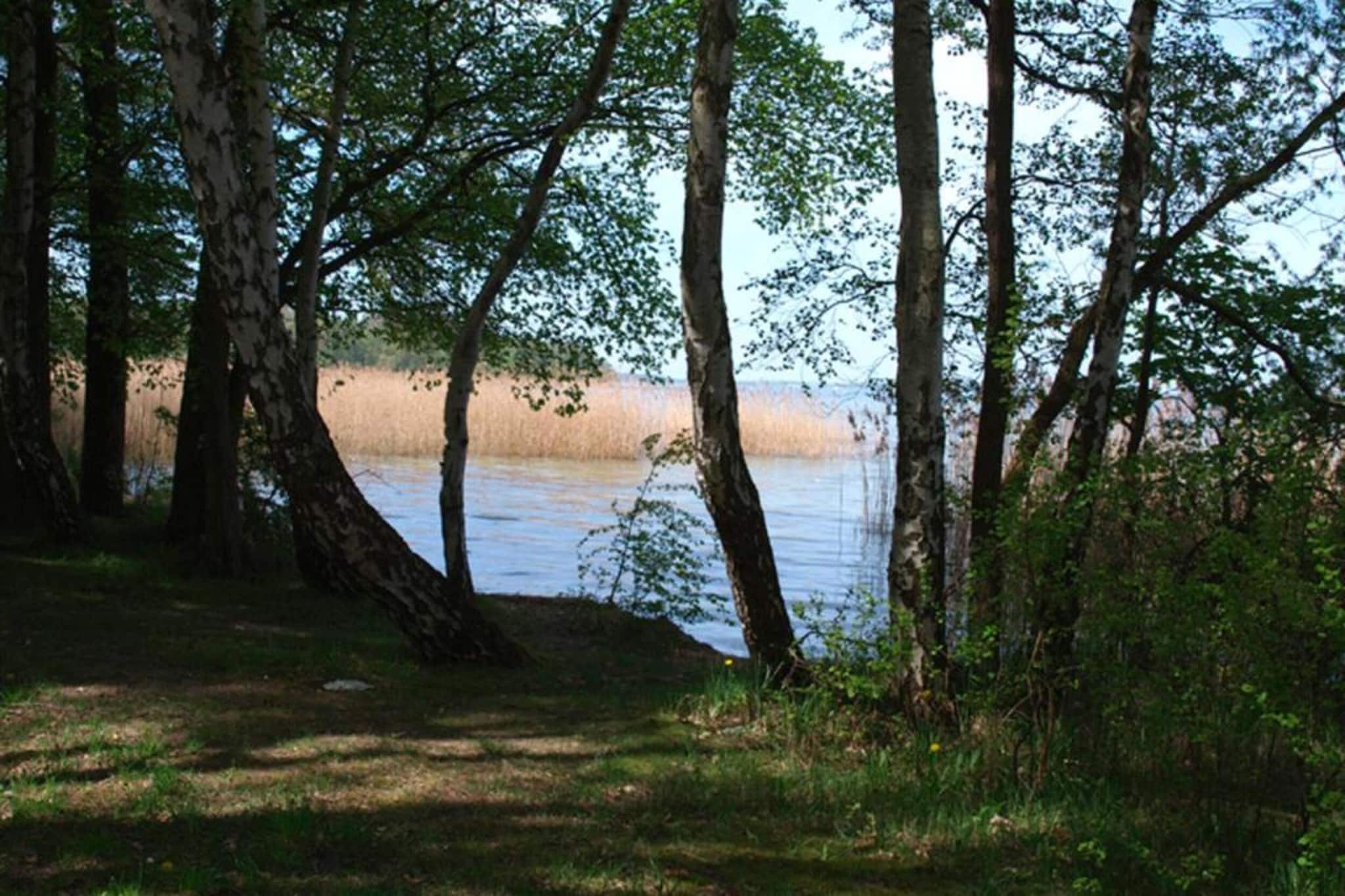 Ferienhaus Seeschwalbe-76-Gebieden zomer 5km