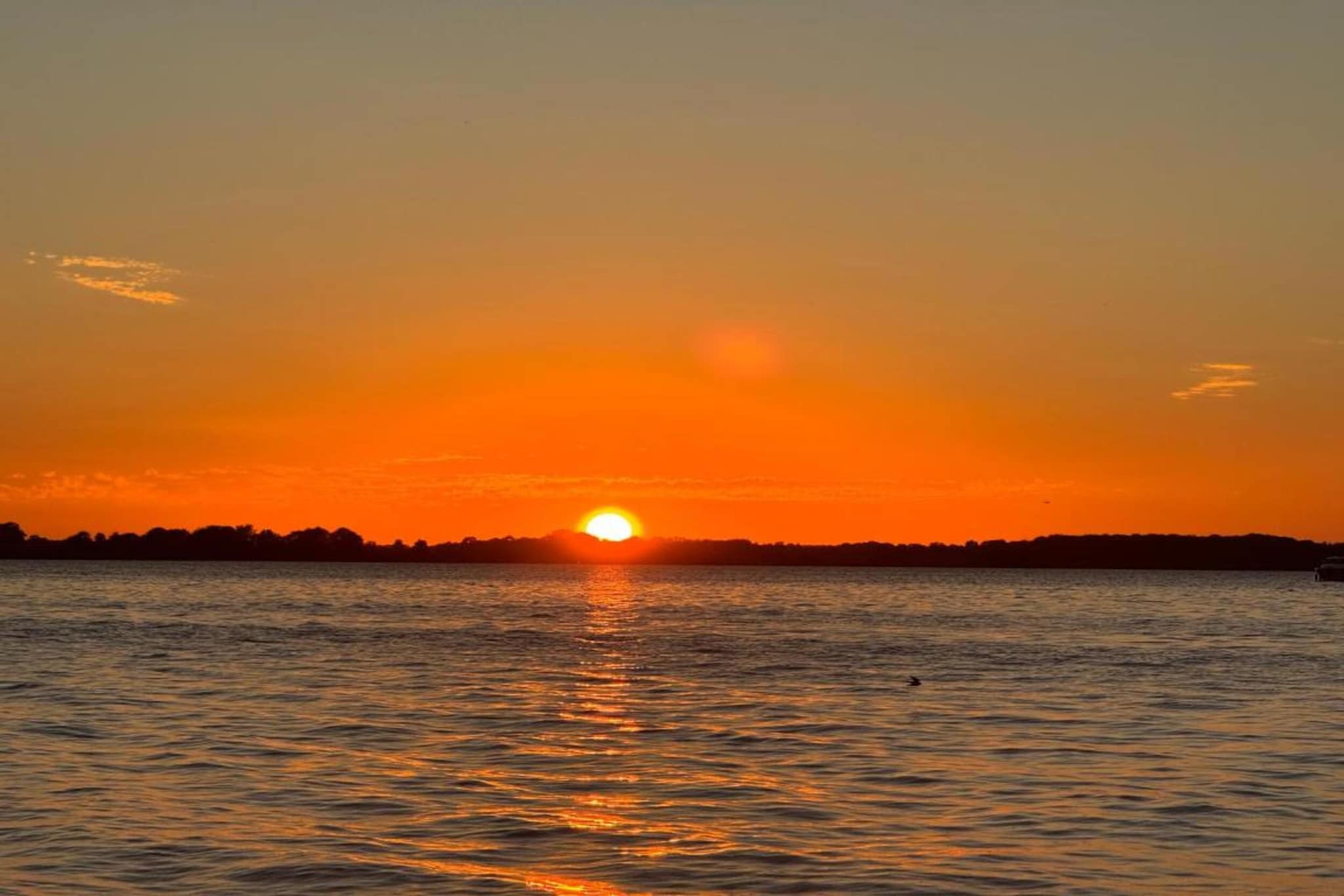 Ferienhaus Seeschwalbe-78-Gebieden zomer 1km