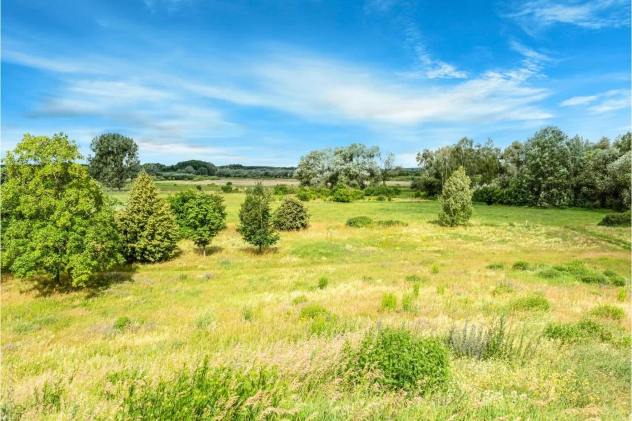 Ferienhaus Seeschwalbe-78-Gebieden zomer 5km