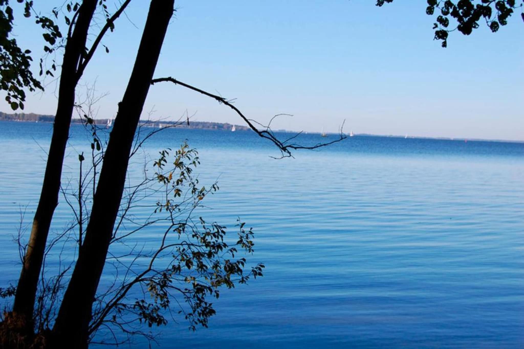 Ferienhaus Seeschwalbe-78-Gebieden zomer 1km