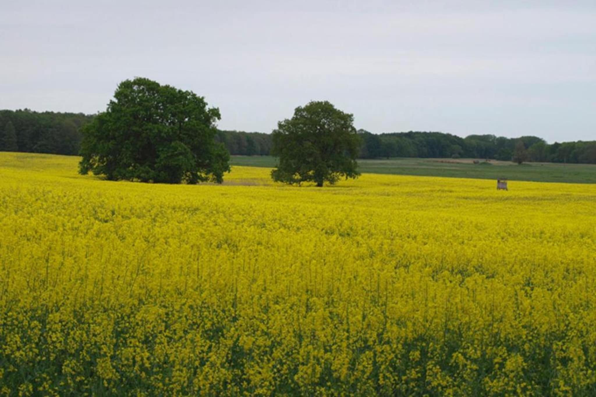 Ferienhaus Seeschwalbe-78-Gebieden zomer 5km