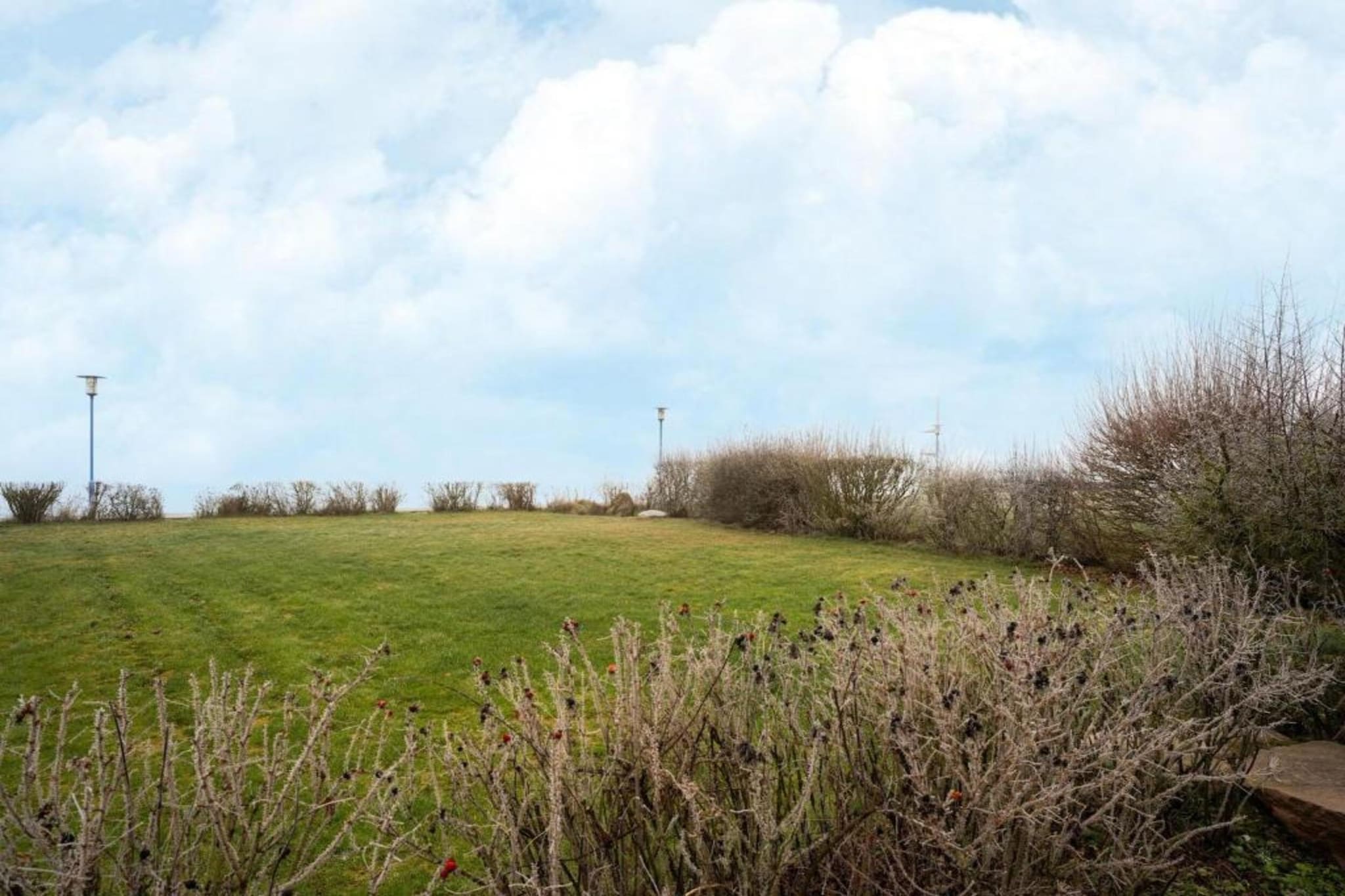 Ferienhaus Seeschwalbe-78-Gebieden zomer 5km
