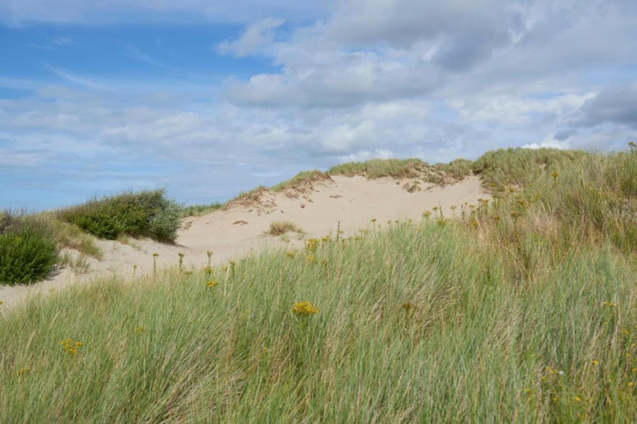 Residentie Sun Beach 0501-Gebieden zomer 20km