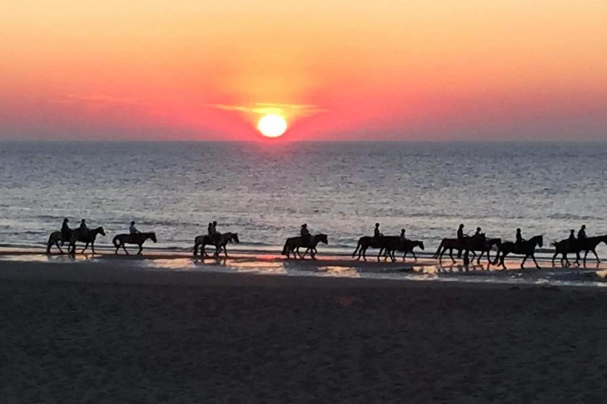 Residentie Sun Beach 0501-Gebieden zomer 20km