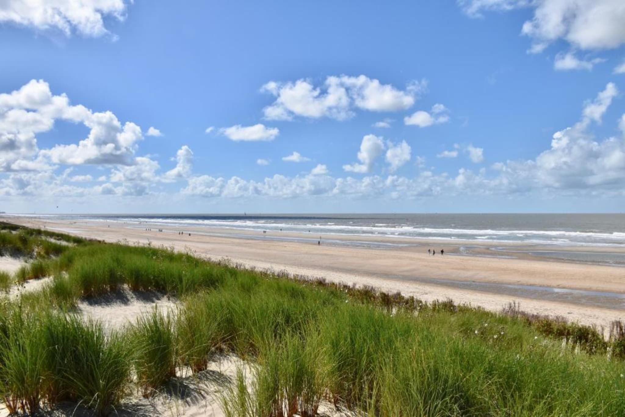 RESIDENTIE PICKWICK 0201-Gebieden zomer 20km
