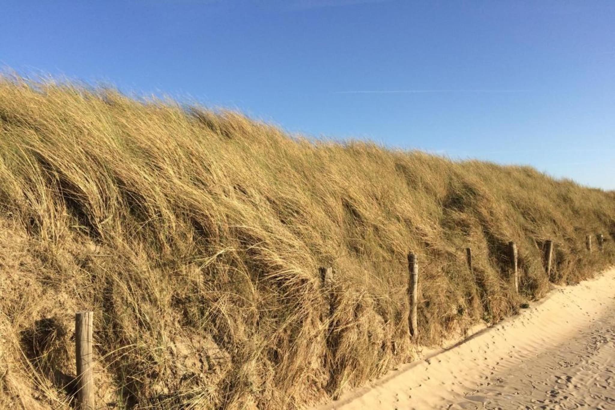 RESIDENTIE PICKWICK 0201-Gebieden zomer 20km