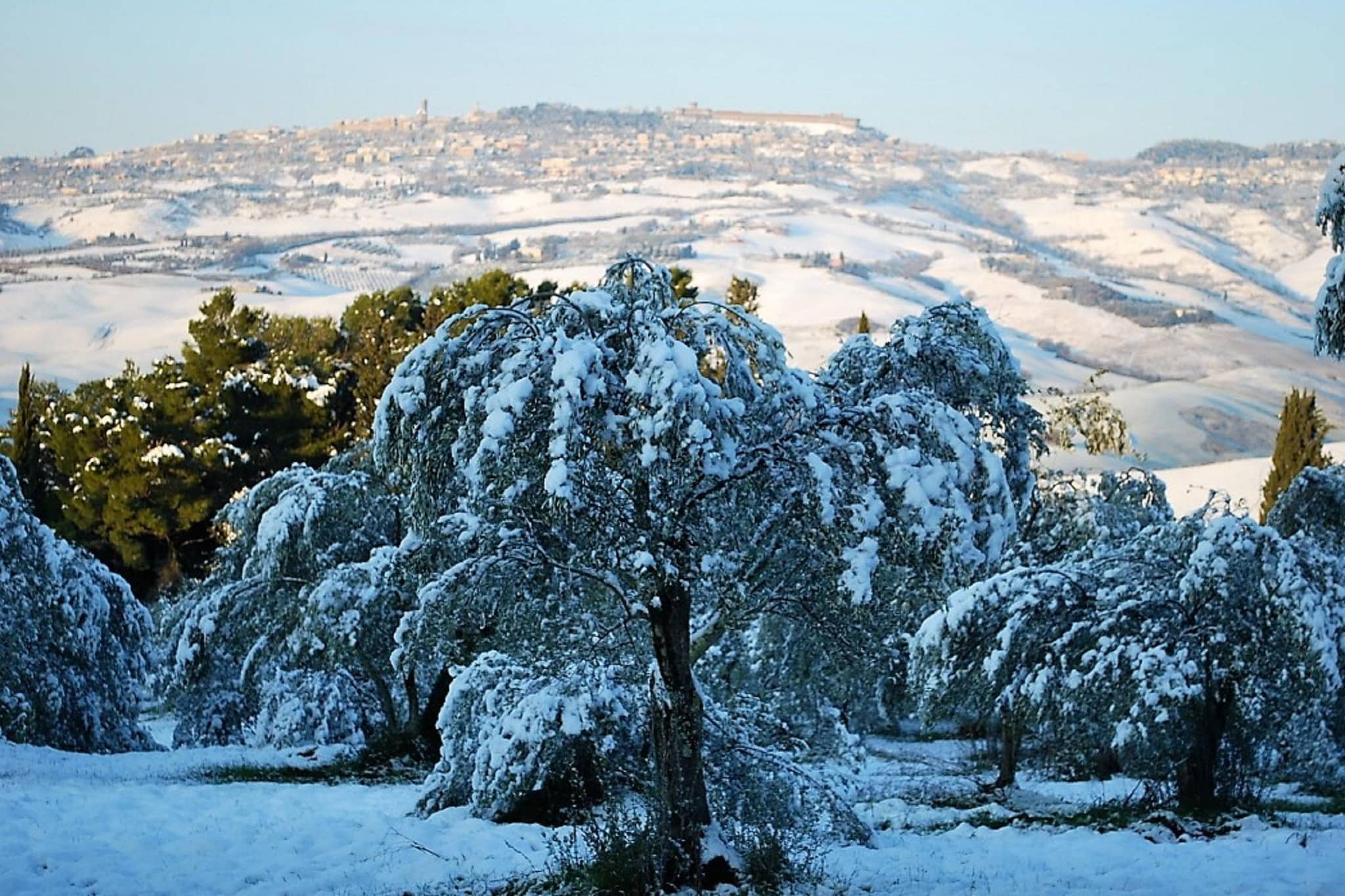 View Winter