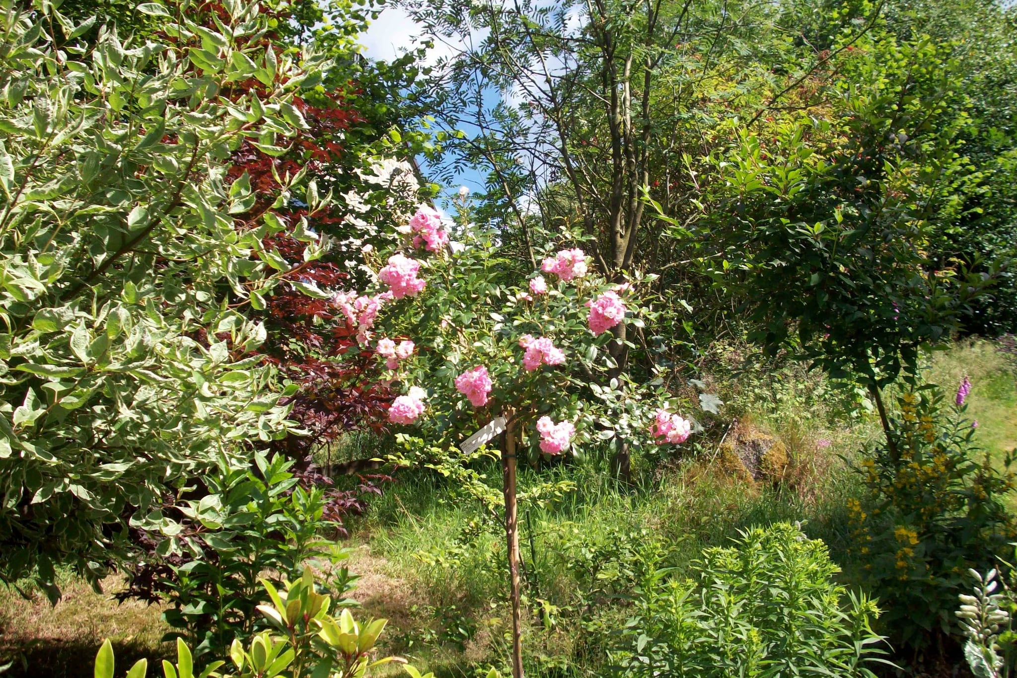 Les Muguets-Gardens summer