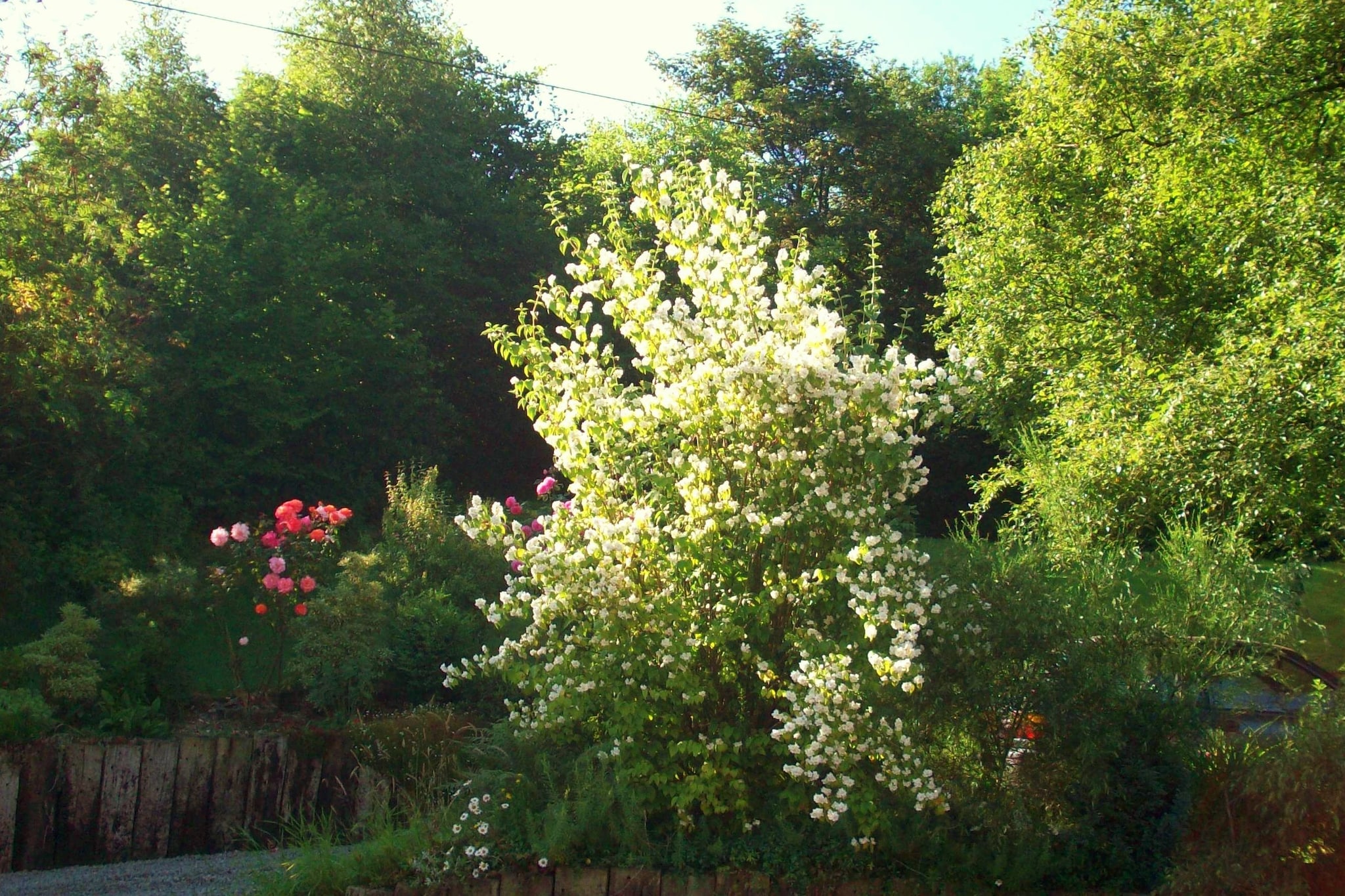 Les Muguets-Gardens summer