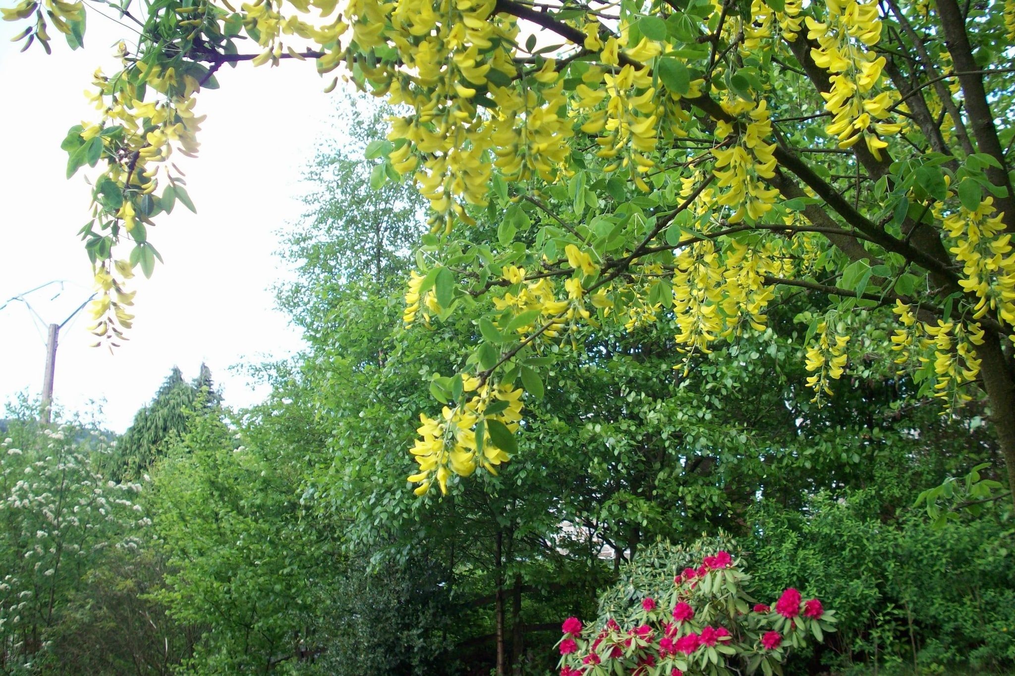 Les Muguets-Gardens summer