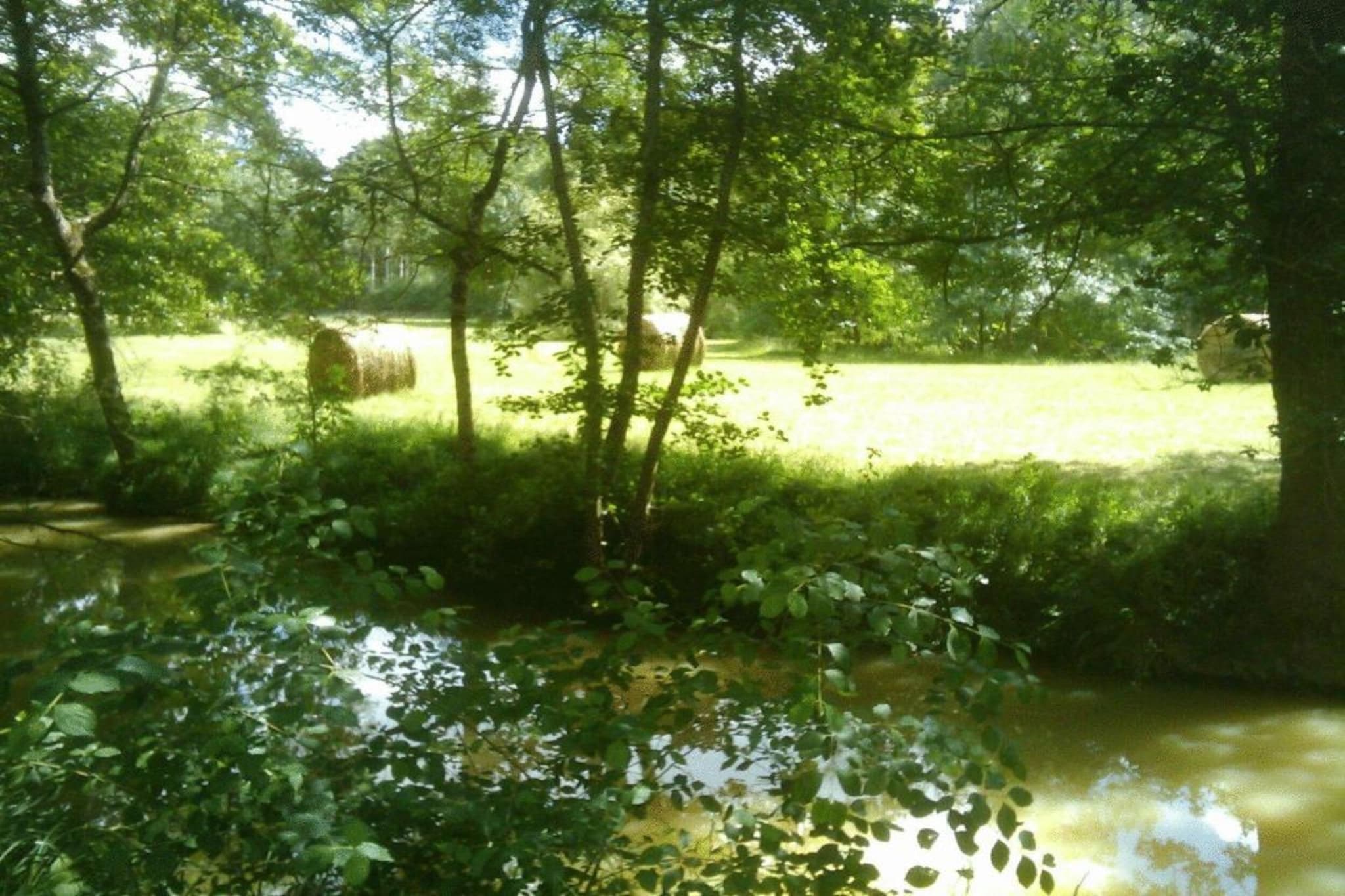 Ecolodge en Sequoia-Gebieden zomer 20km