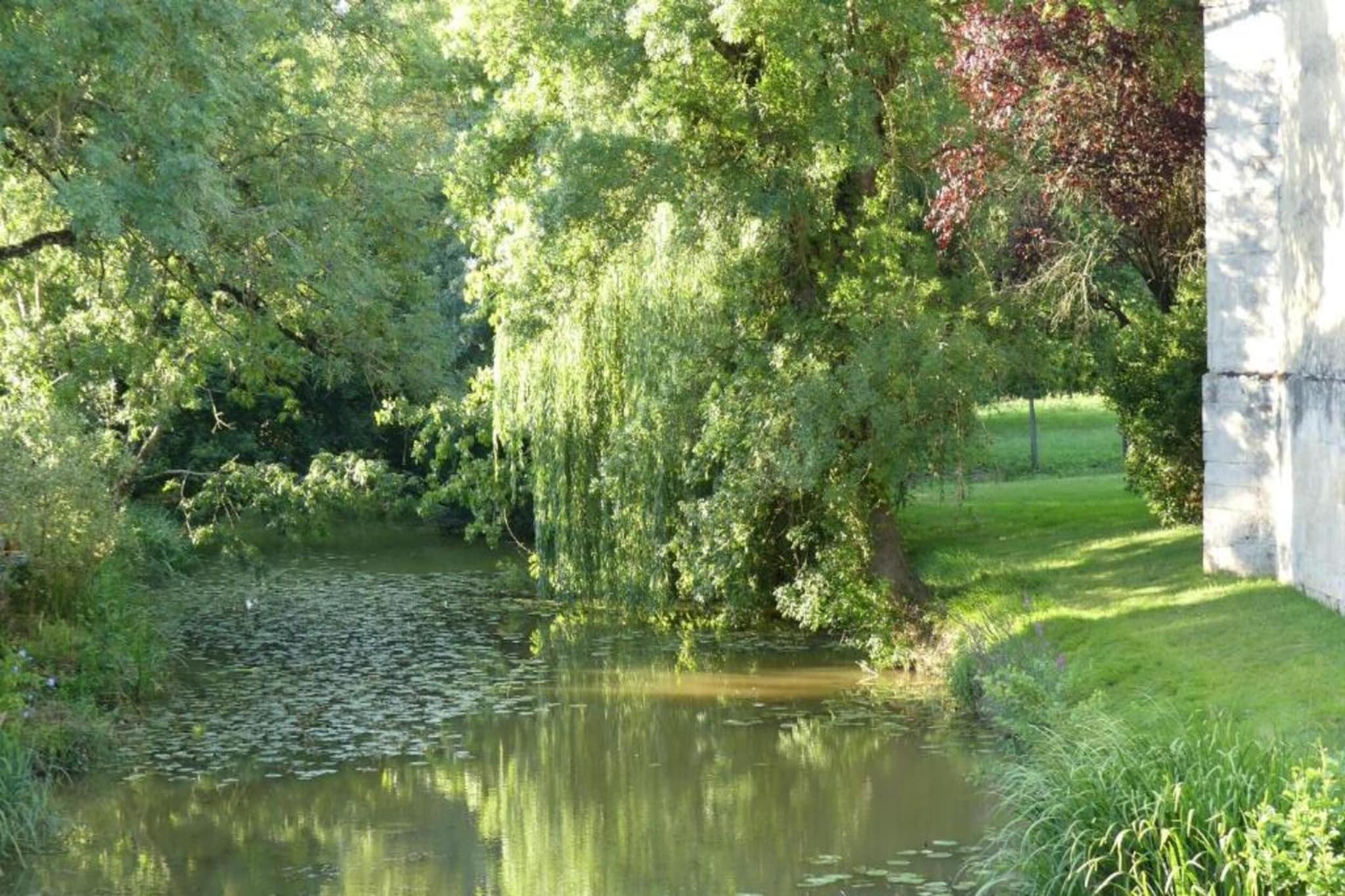 Ecolodge en Sequoia-Gebieden zomer 20km