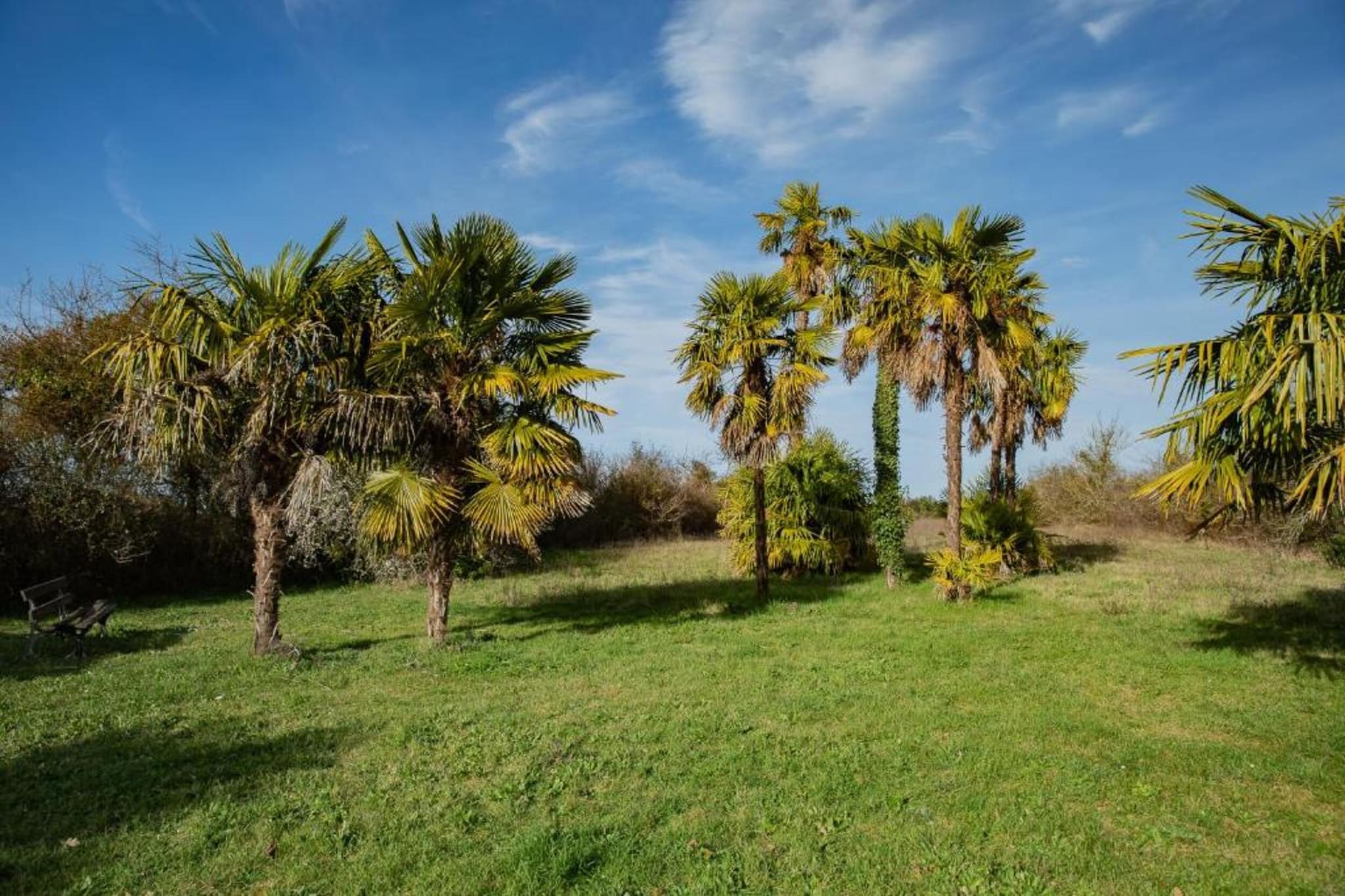 Ecolodge en Sequoia-Gebieden zomer 20km