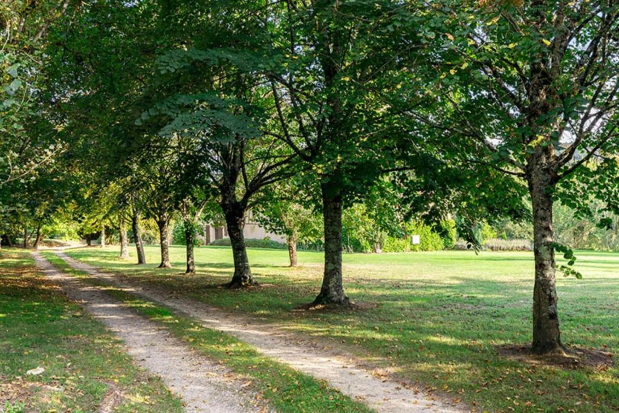 Ecolodge en Sequoia-Gebieden zomer 20km