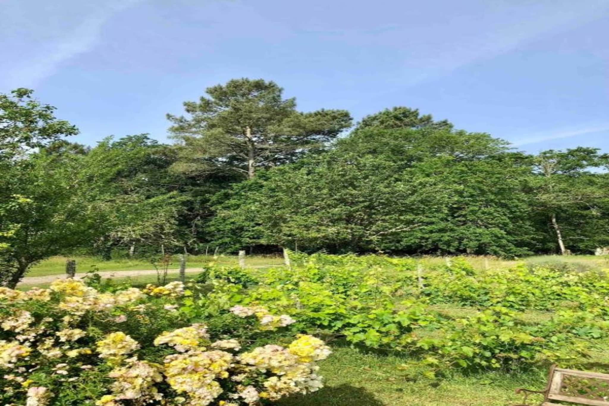 Ecolodge en Sequoia-Gebieden zomer 20km