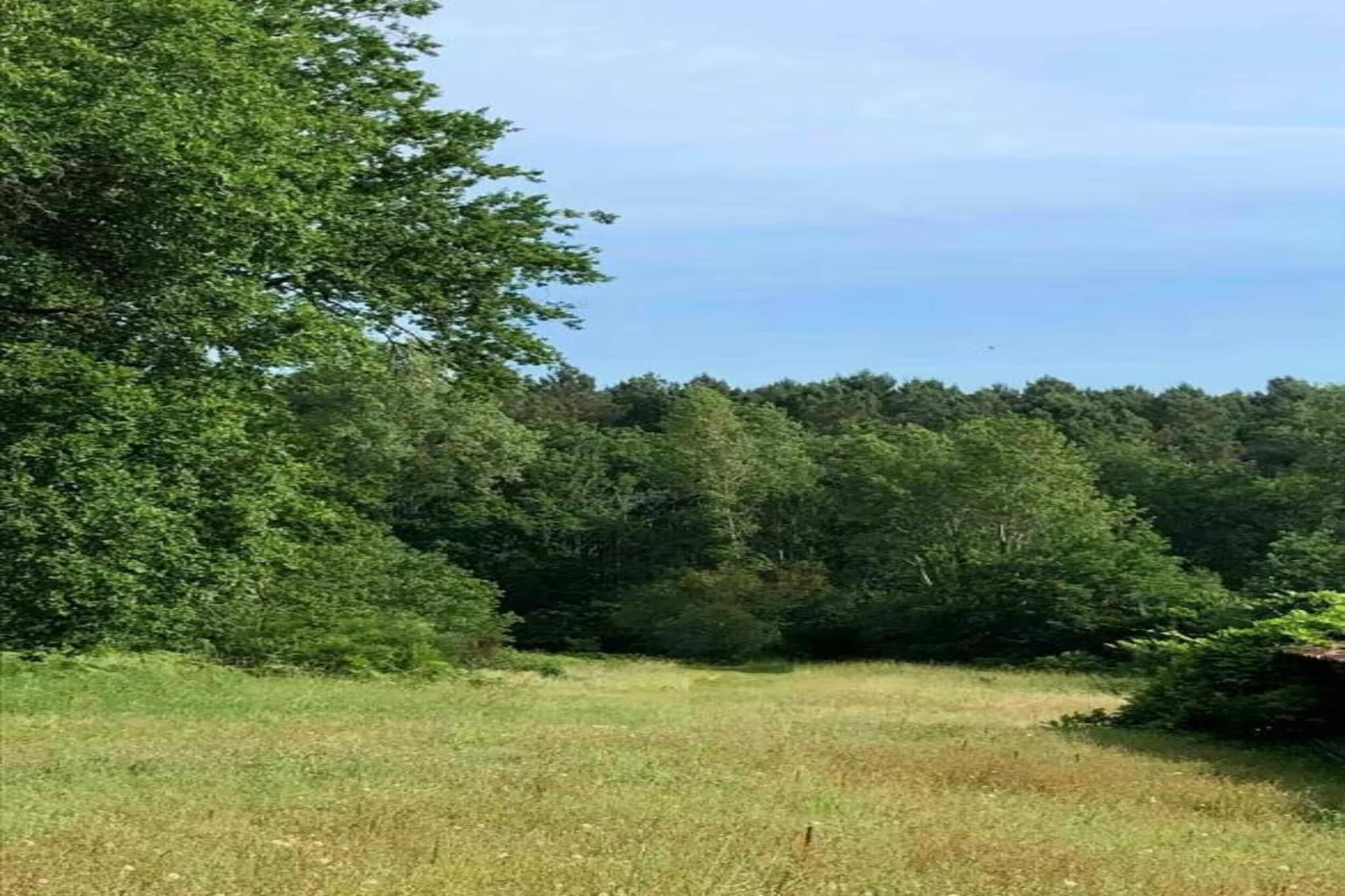 Ecolodge en Sequoia-Gebieden zomer 20km