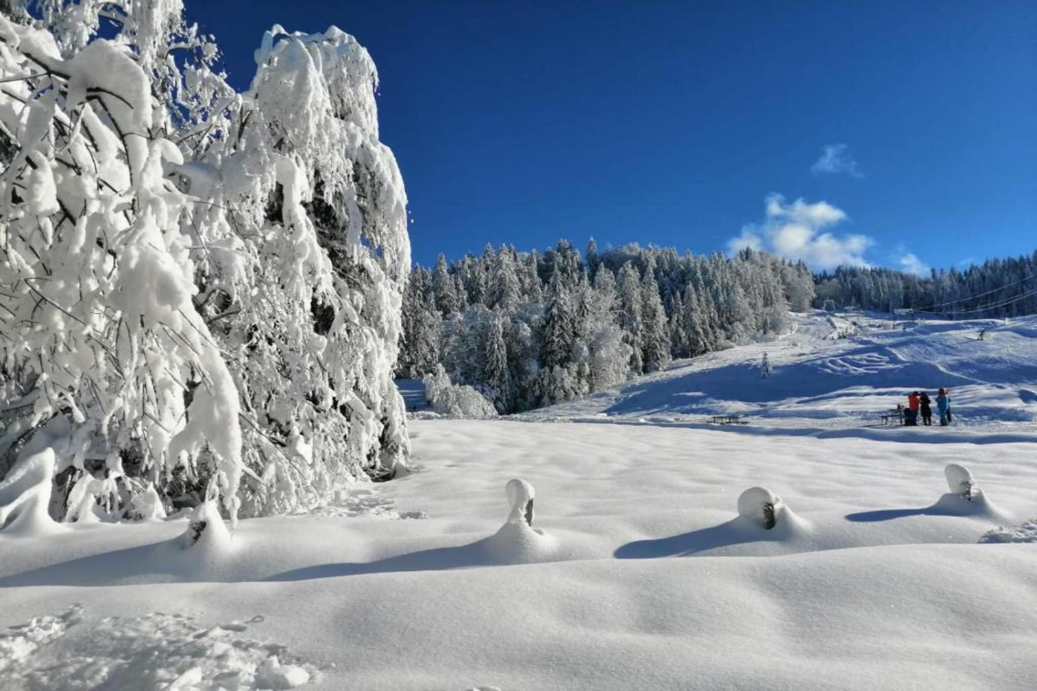 Barbara-Gebied winter 20km