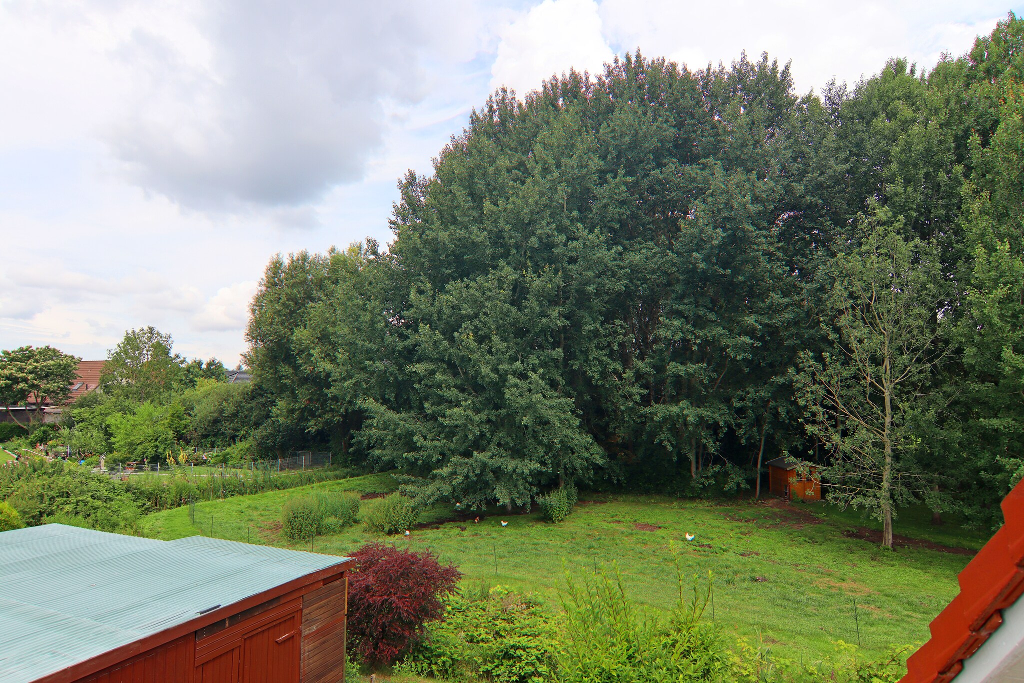 Ferienwohnung Kranichring-Uitzicht zomer