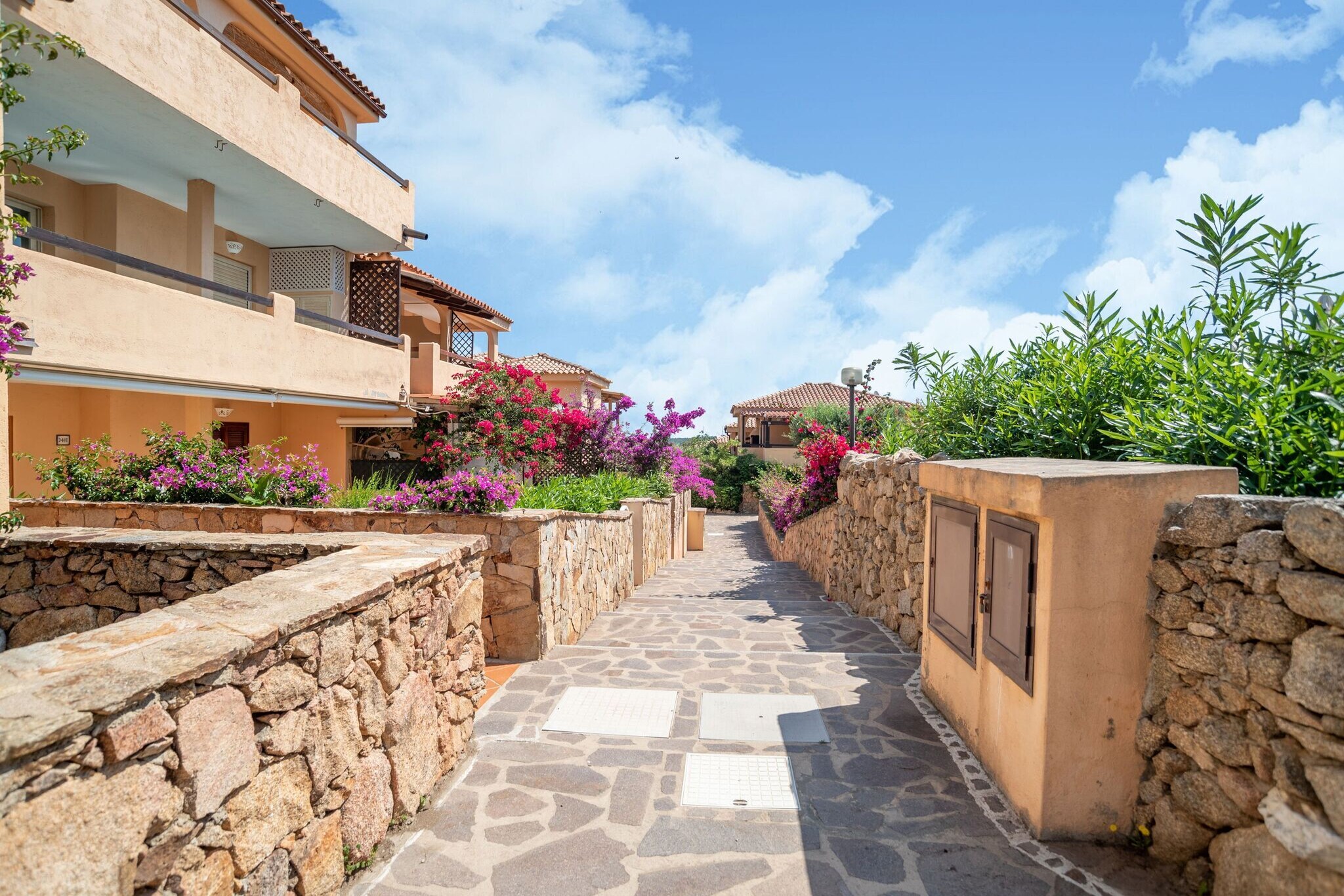 Exterior Summer