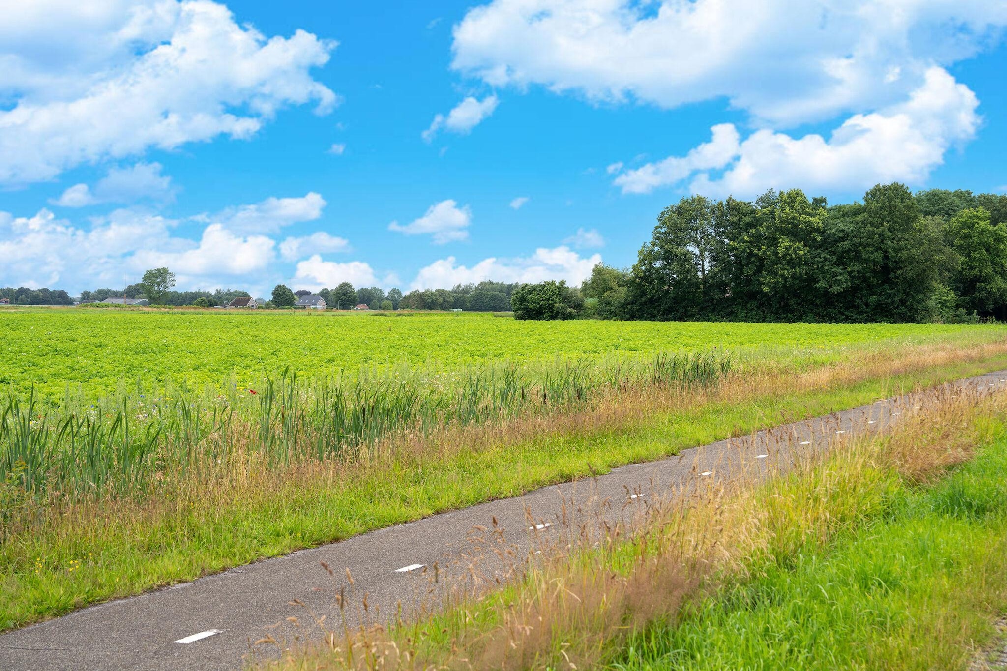 De Parel-Gebieden zomer 5km