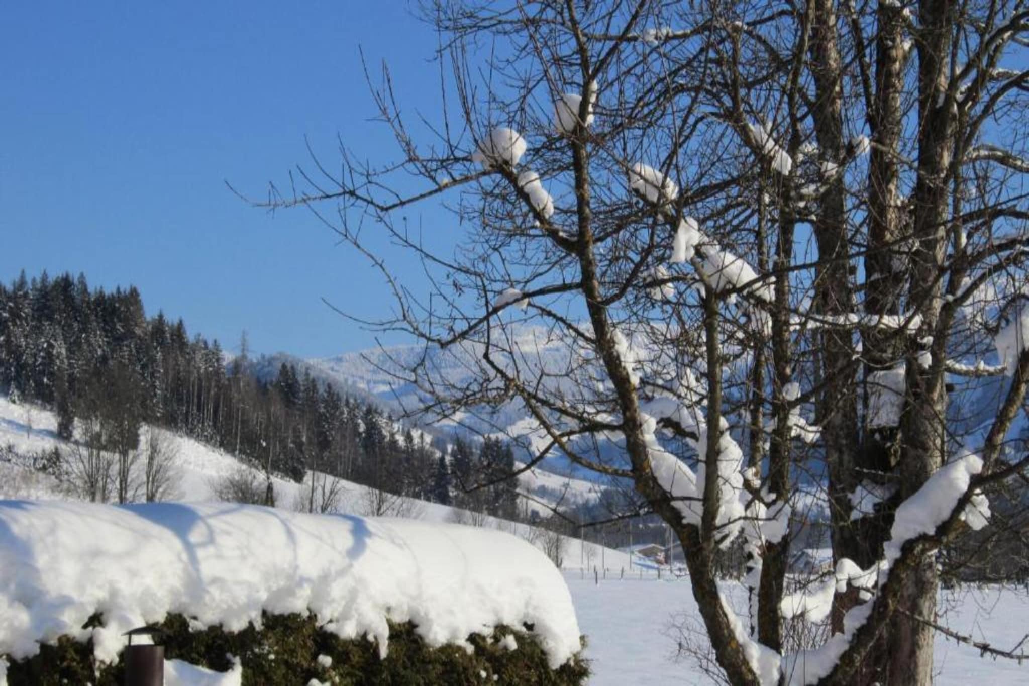 Doppelzimmer 3 - TONY in Saalfelden-Pinzgau-Gebied winter 5km