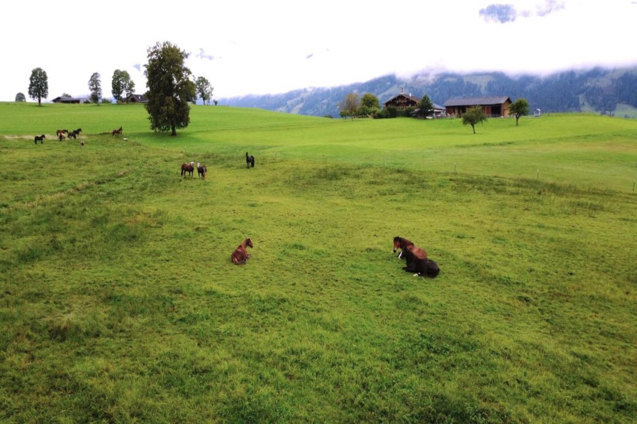 Doppelzimmer 3 - TONY in Saalfelden-Pinzgau-Gebieden zomer 20km