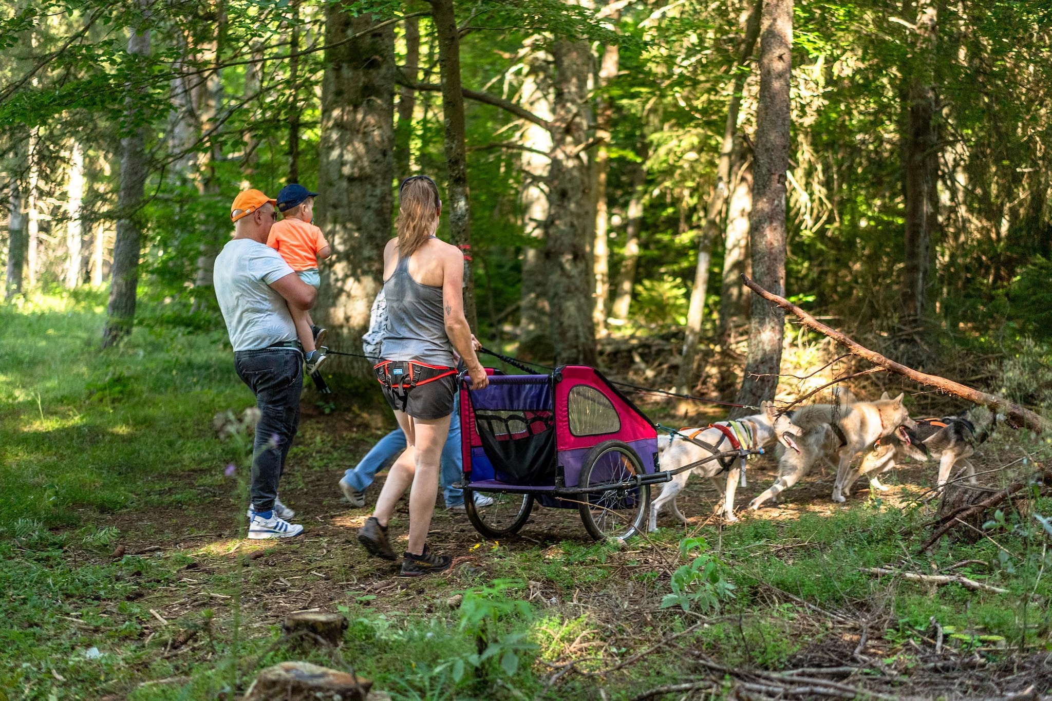Saint-Julien-Chapteuil - Gîte 2 Pièces 4 Personnes 1  bébé-Gebiete Sommer 20 km