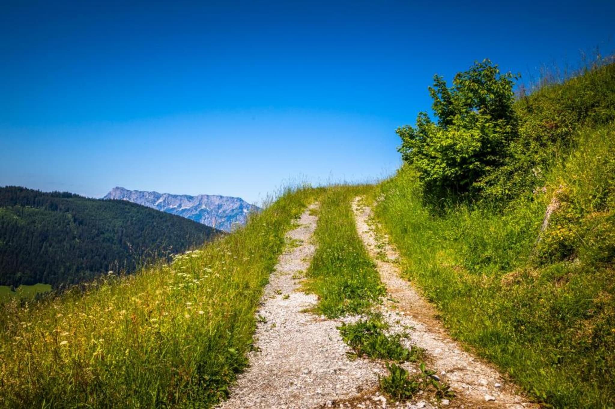 Doppelzimmer 5 - LOU in Saalfelden-Pinzgau-Gebieden zomer 20km