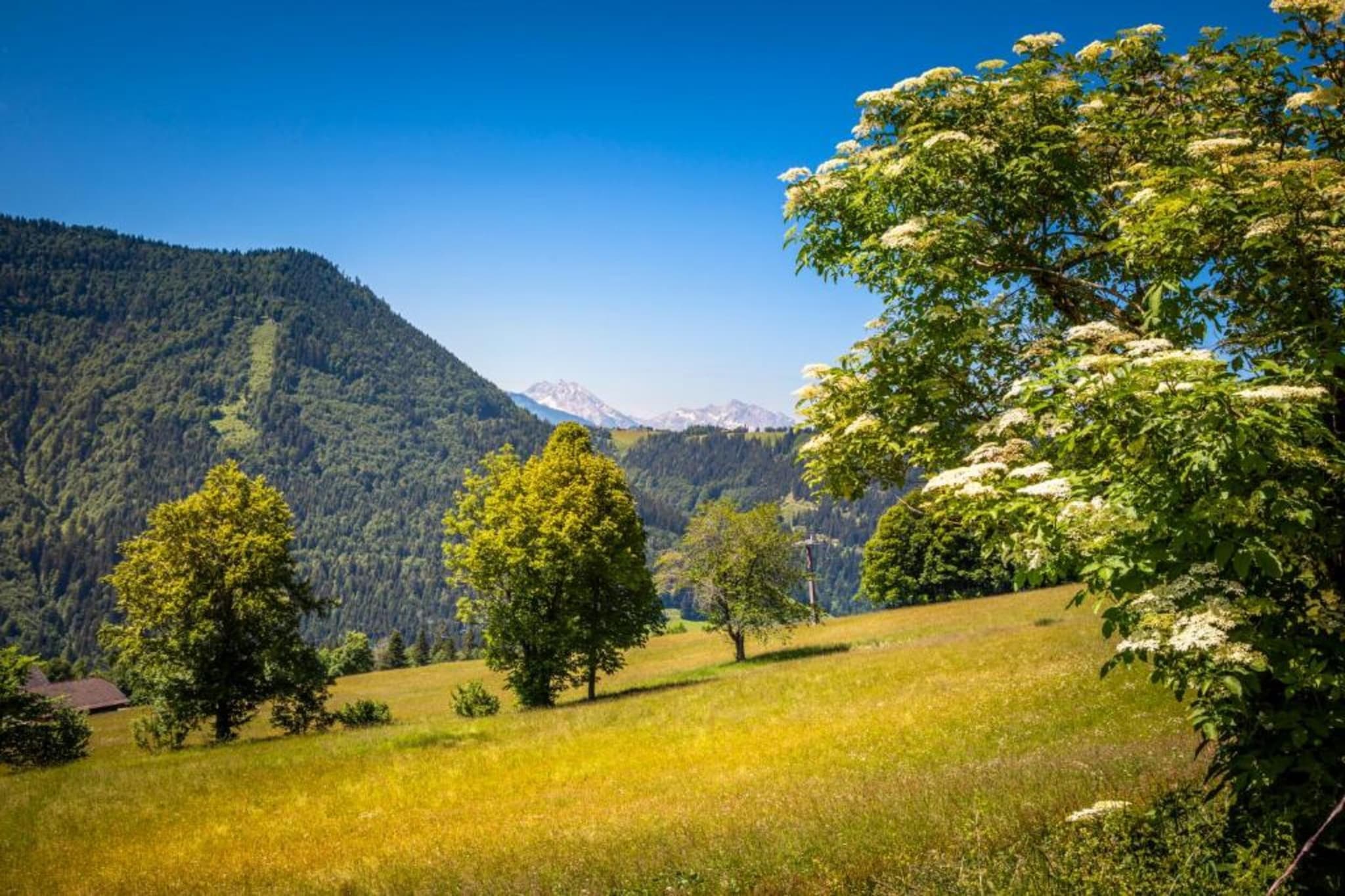 Doppelzimmer 5 - LOU in Saalfelden-Pinzgau-Gebieden zomer 20km