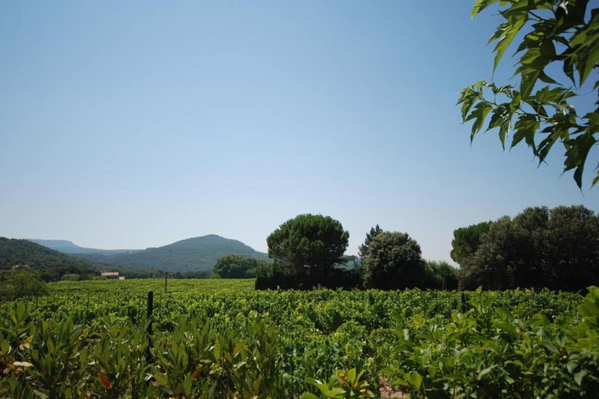 Villa les Combettes-Gebieden zomer 20km