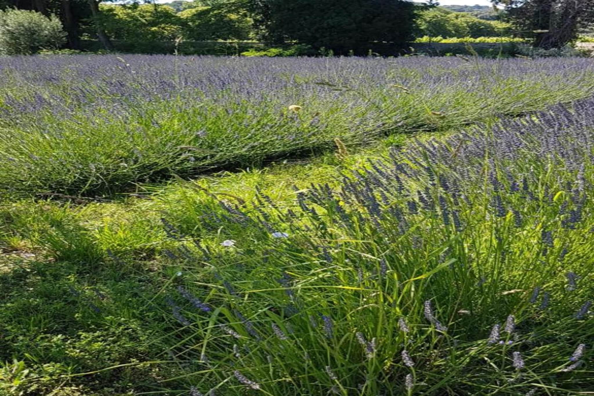 Villa les Combettes-Gebieden zomer 20km