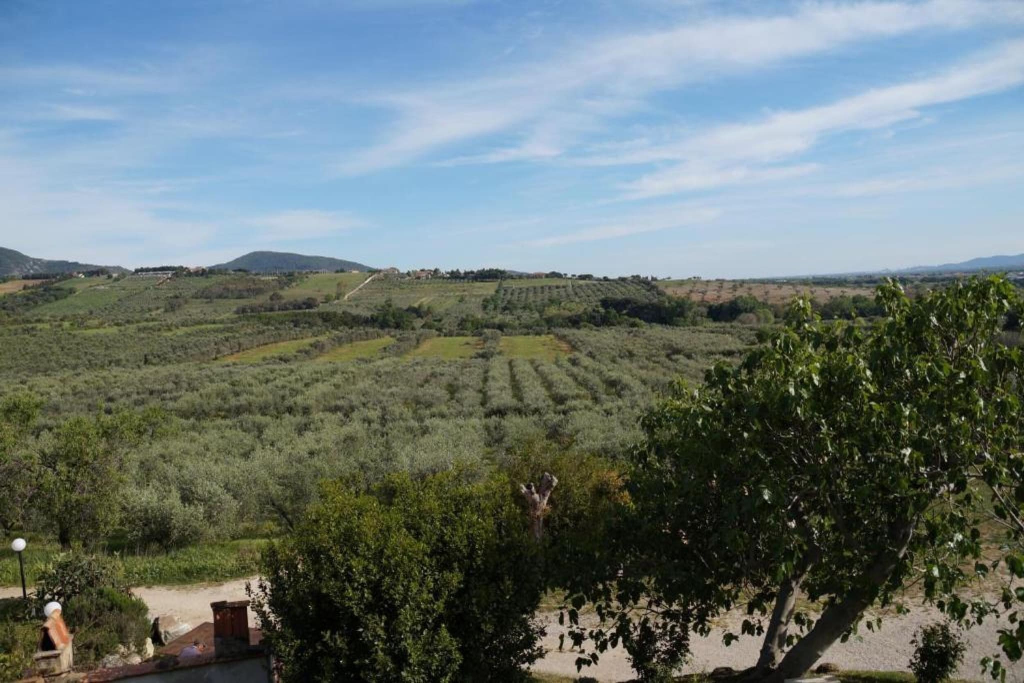 APP 2-Areas summer 1km