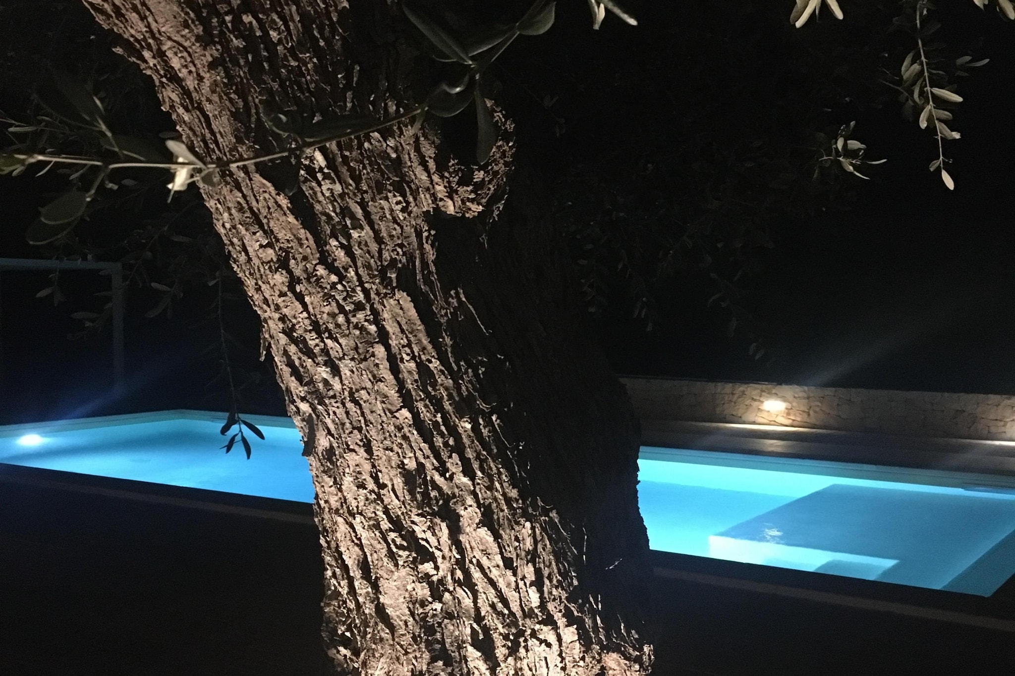 Trullo Rosa Ostuni - Swimming pool