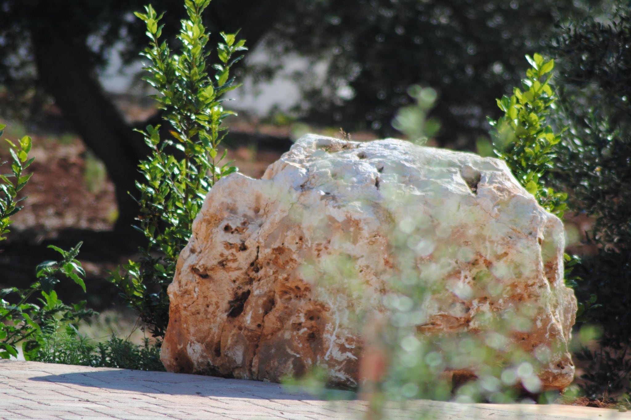 Trullo Rosa Ostuni - Ambiance