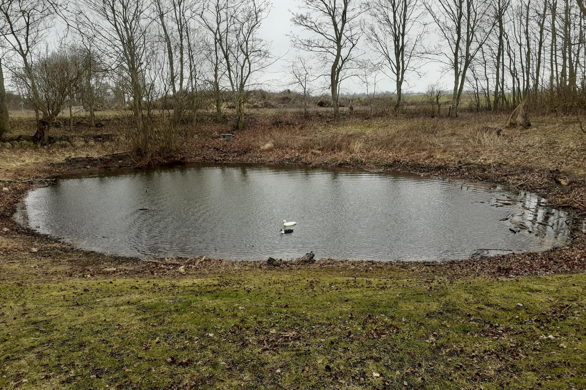 FH Sturmfrei-Gebieden zomer 5km