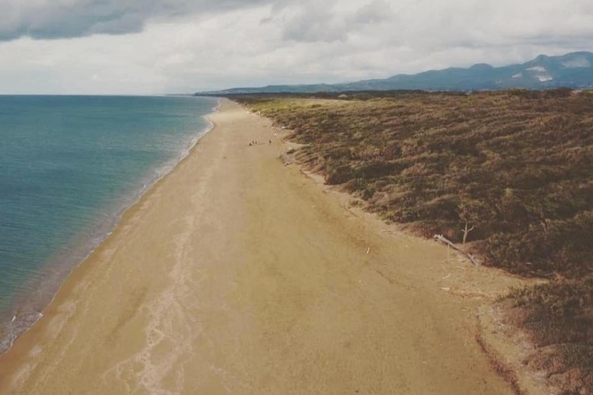 APP 6-Areas summer 1km