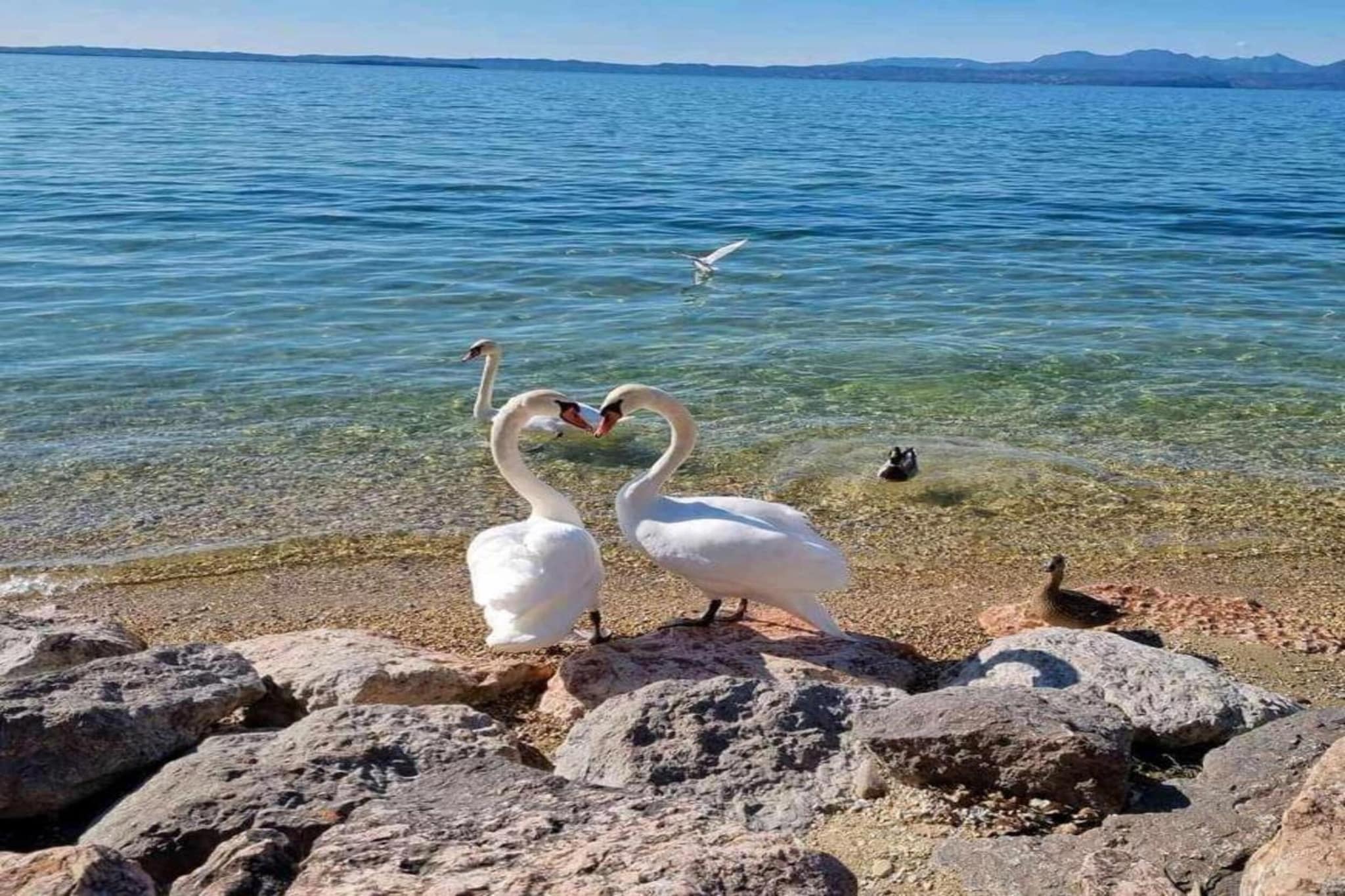 Costa al Sole A Diciotto-Gebiete Sommer 5 km