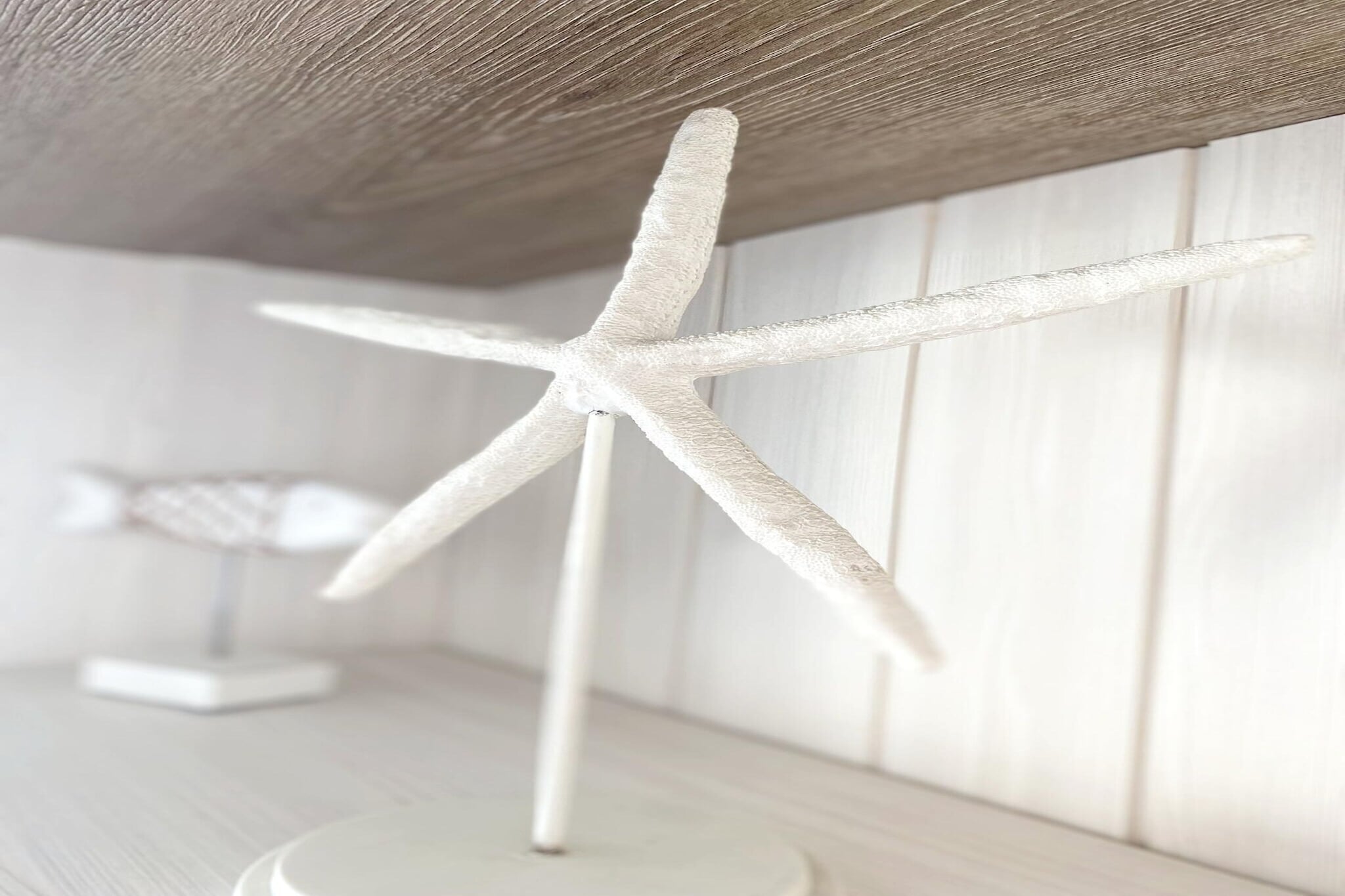 BEAULIEU 0702/ 16-Ambiance